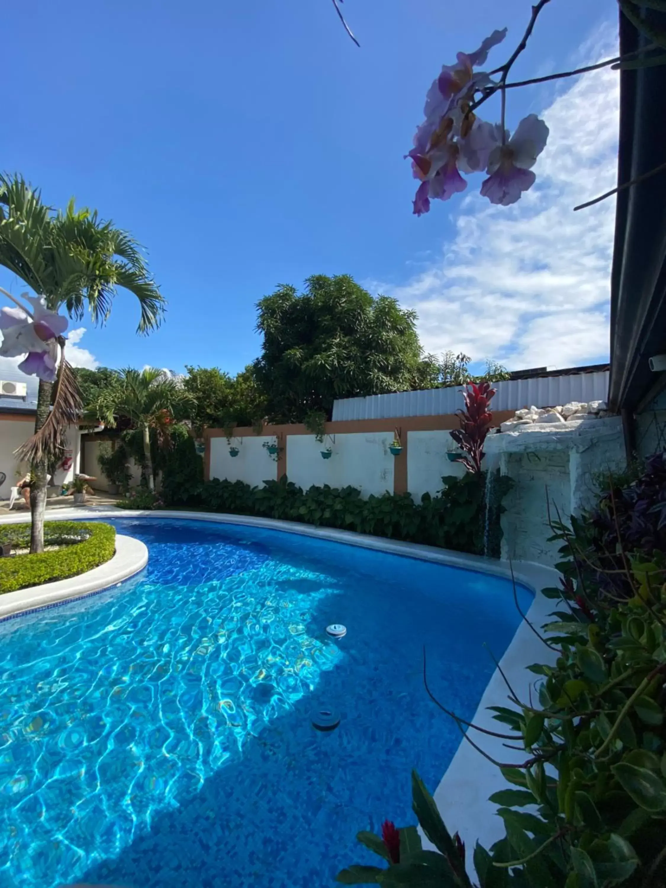 Natural landscape, Swimming Pool in Berlor Airport Inn