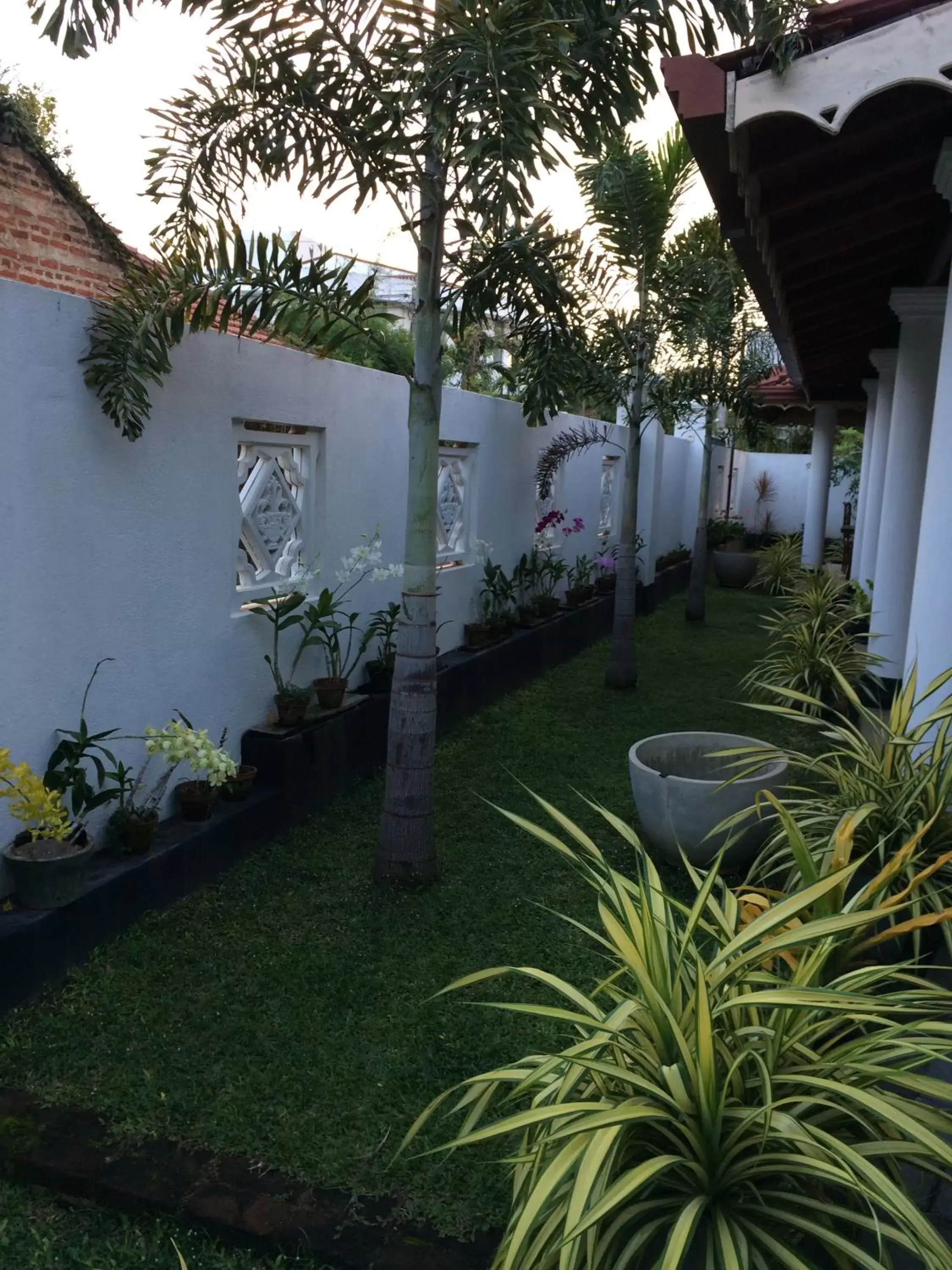 Garden in Sunrise Palace Negombo