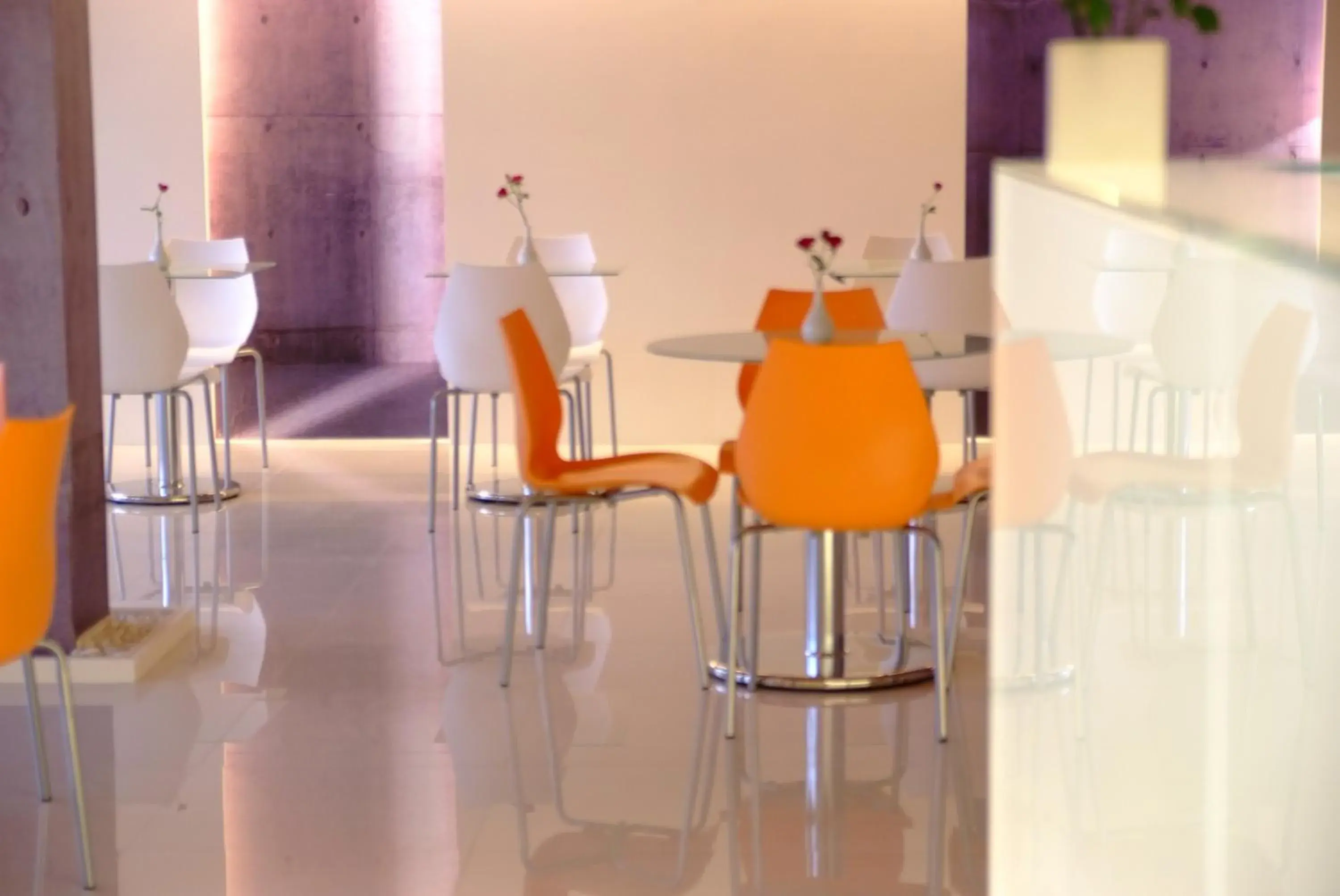 Restaurant/places to eat in Hotel Purity Restaurant/places to eat in Hotel Purity