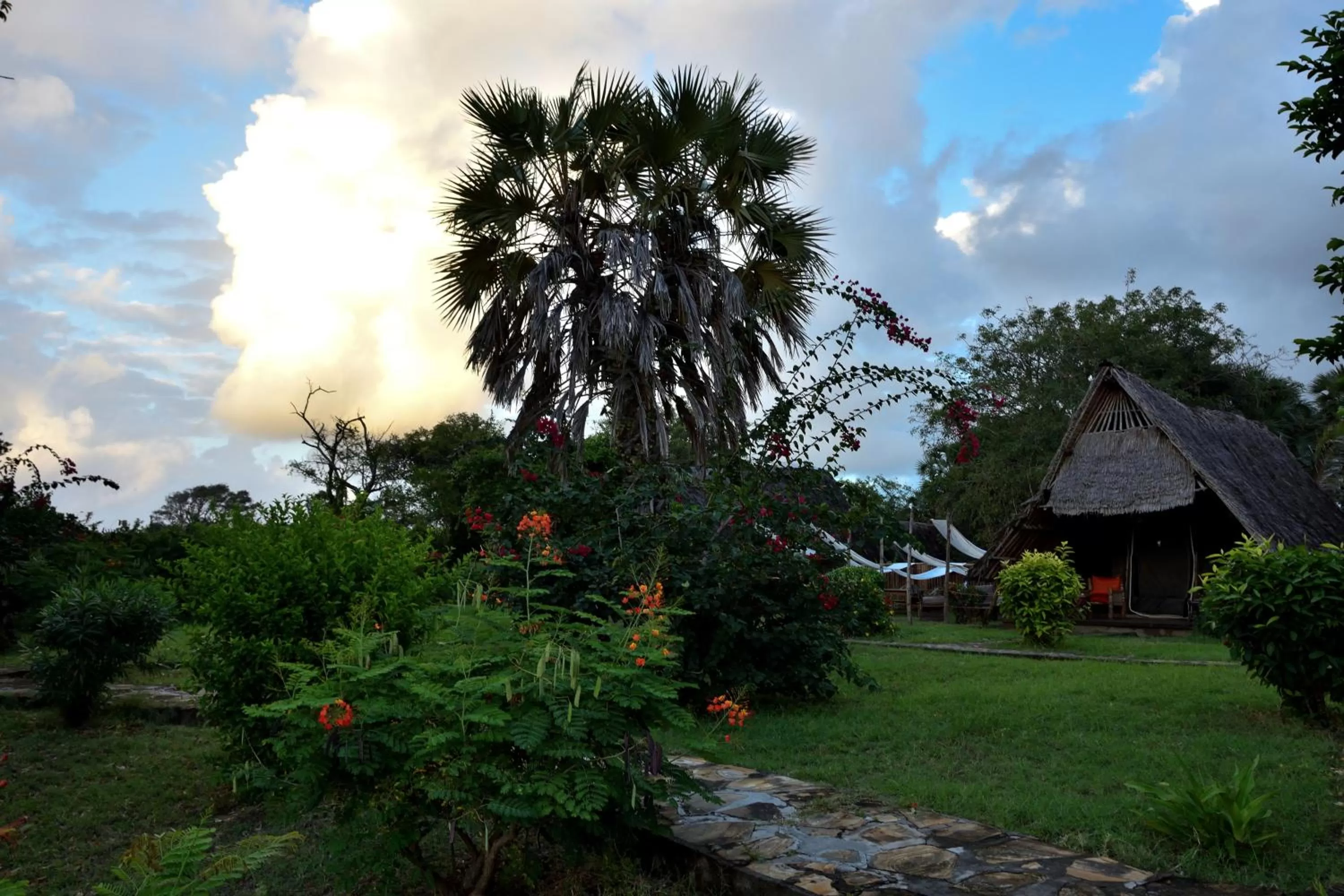 Garden in Bahari Pori Resort