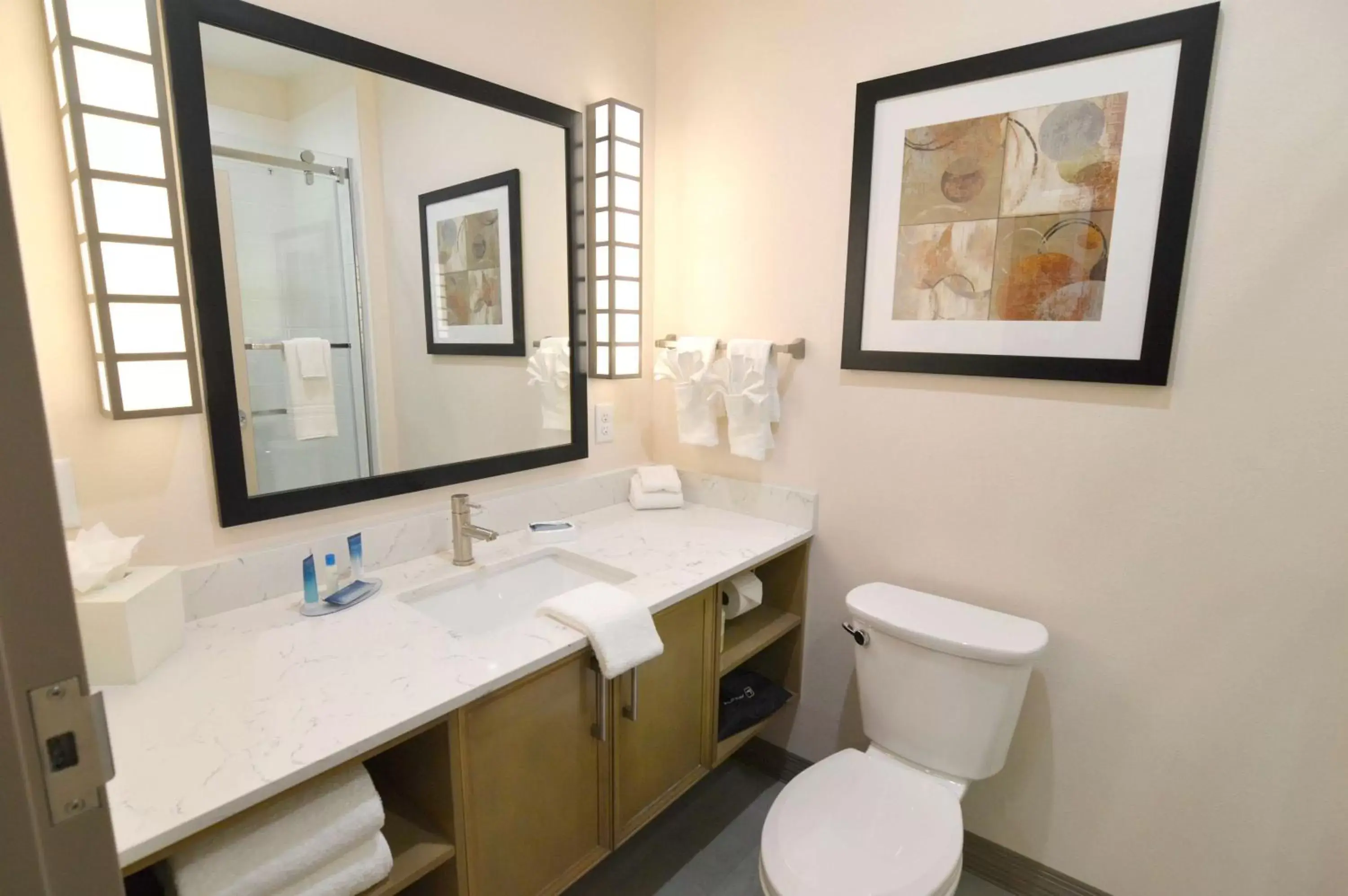 Bathroom in Best Western Executive Residency IH-37 Corpus Christi