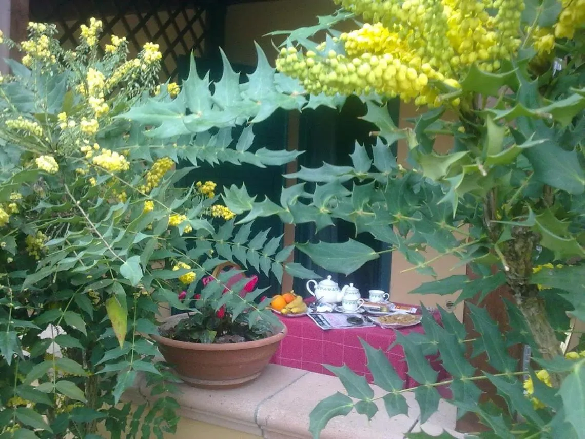 Day in Green Park Hotel