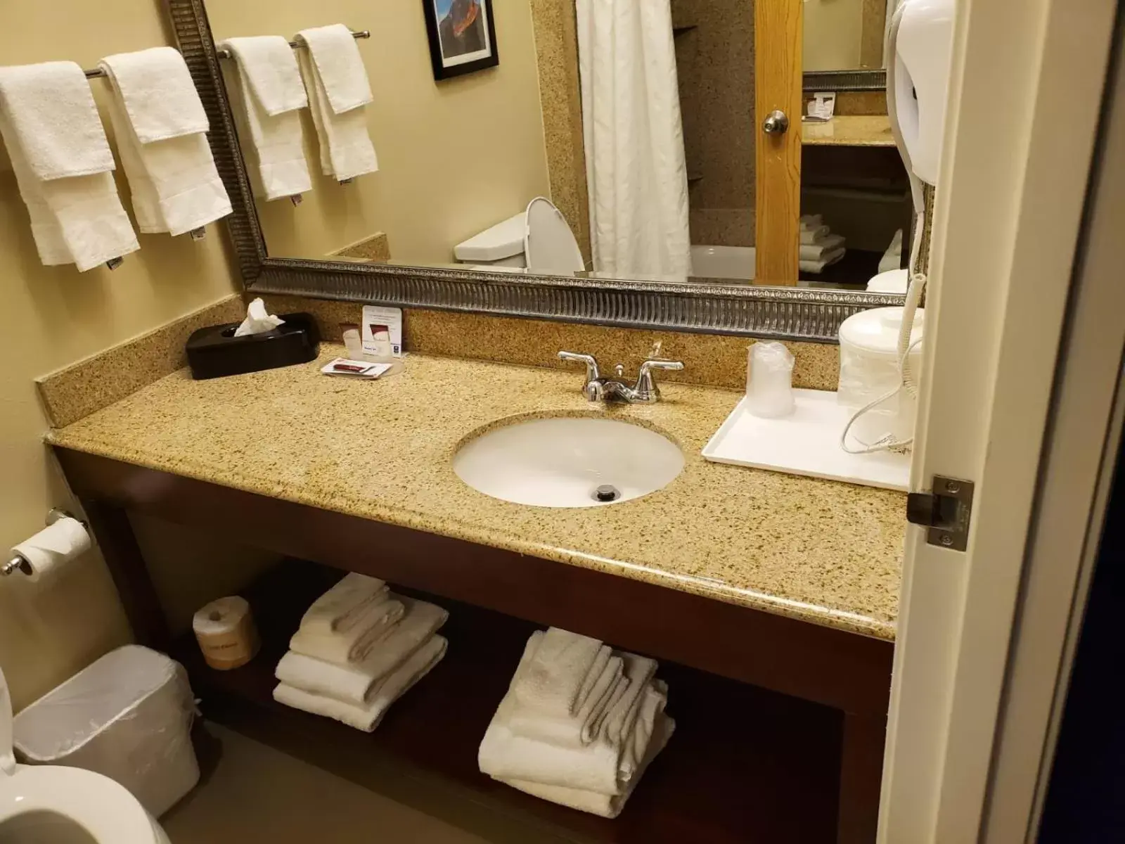 Bathroom in Comfort Inn & Suites Durango