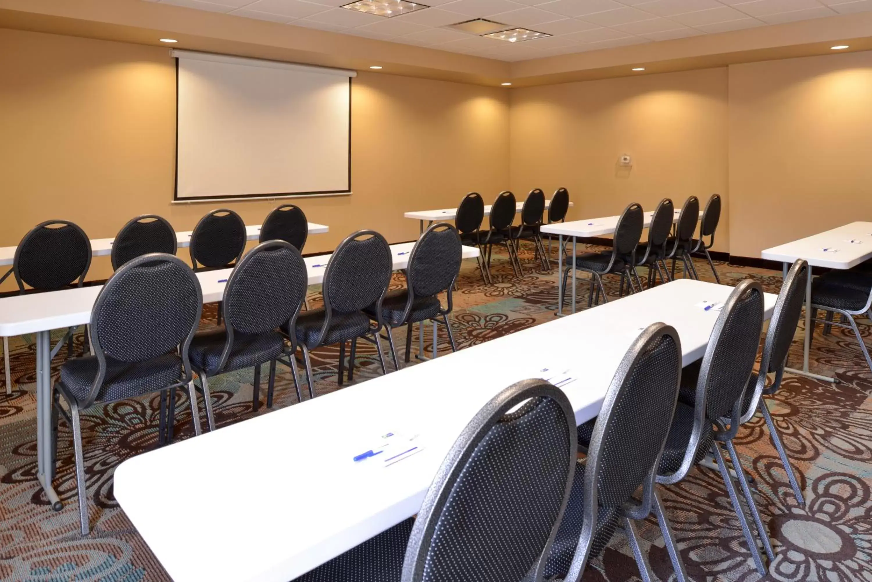 Meeting/conference room in Holiday Inn Express & Suites Globe, an IHG Hotel