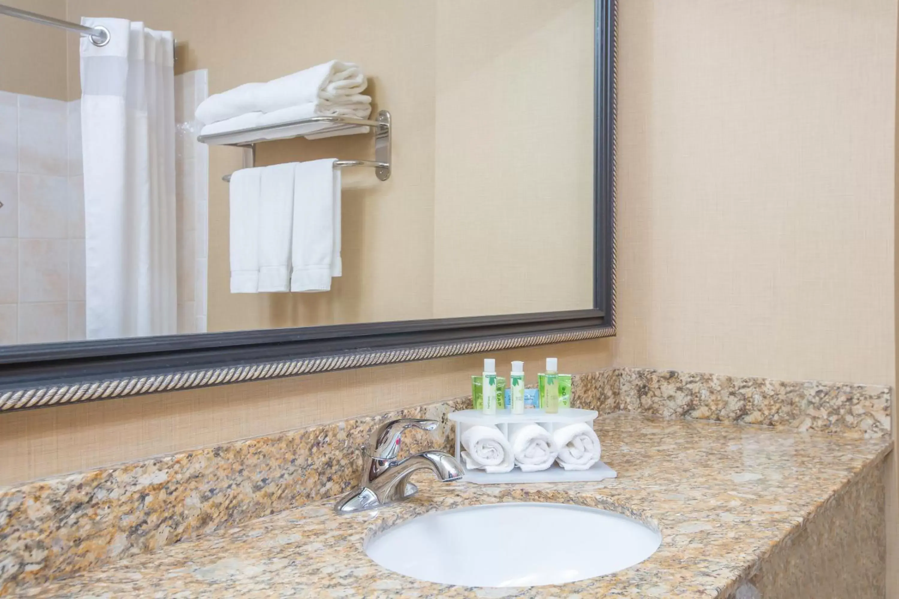 Bathroom in Holiday Inn Express Billings East, an IHG Hotel