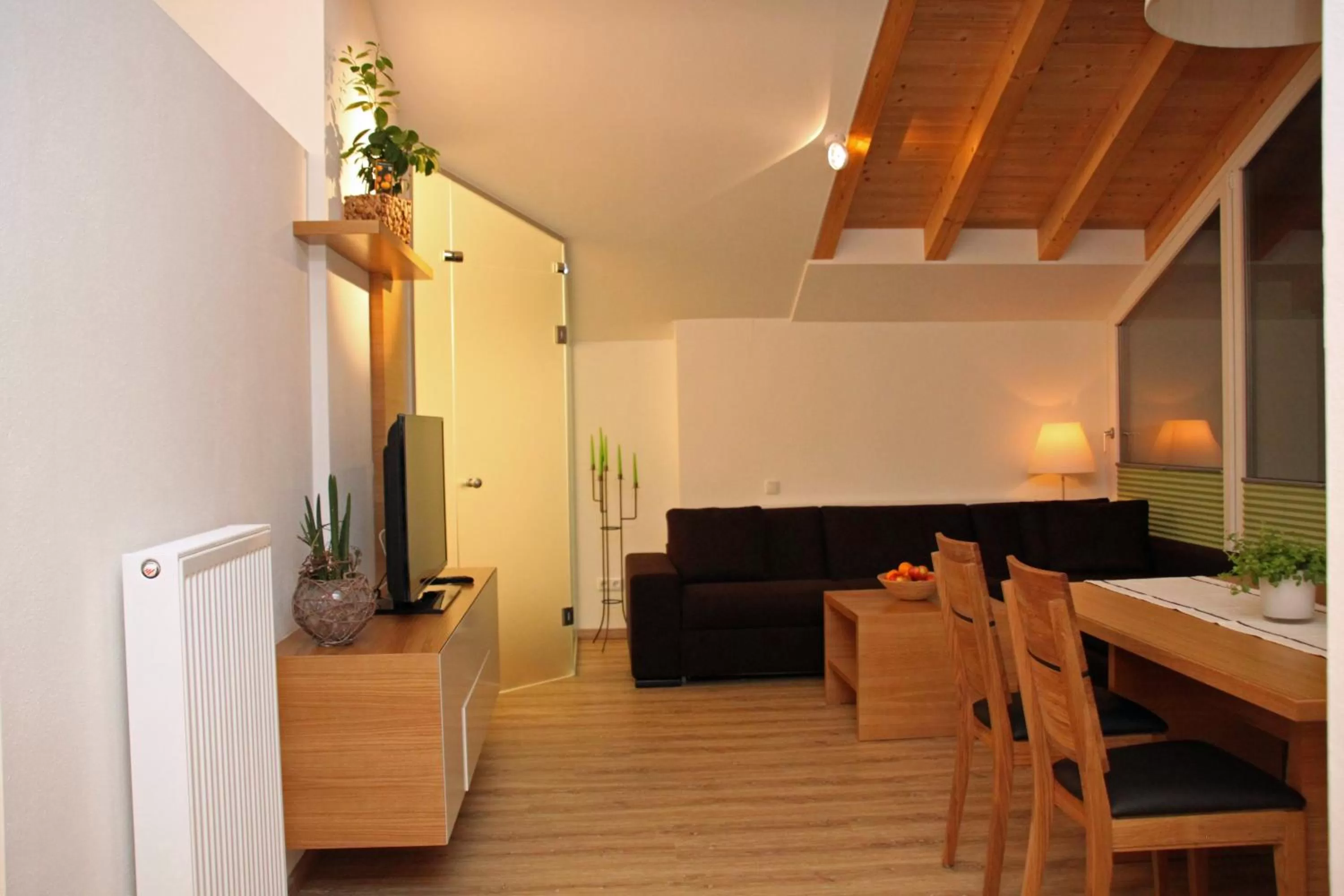 TV and multimedia in Pension Café Maier