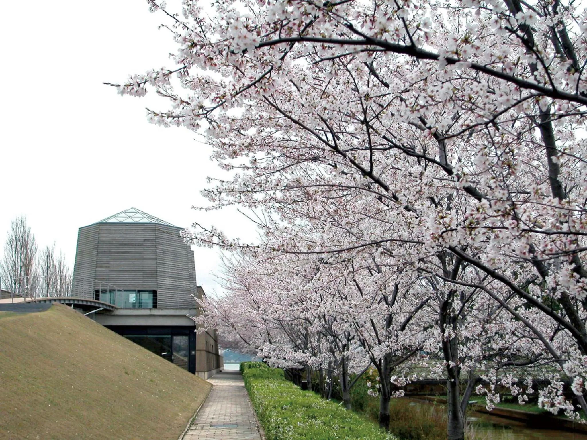 Off site in APA Hotel & Resort Kaga Katayamazu Onsen Kasuikyo
