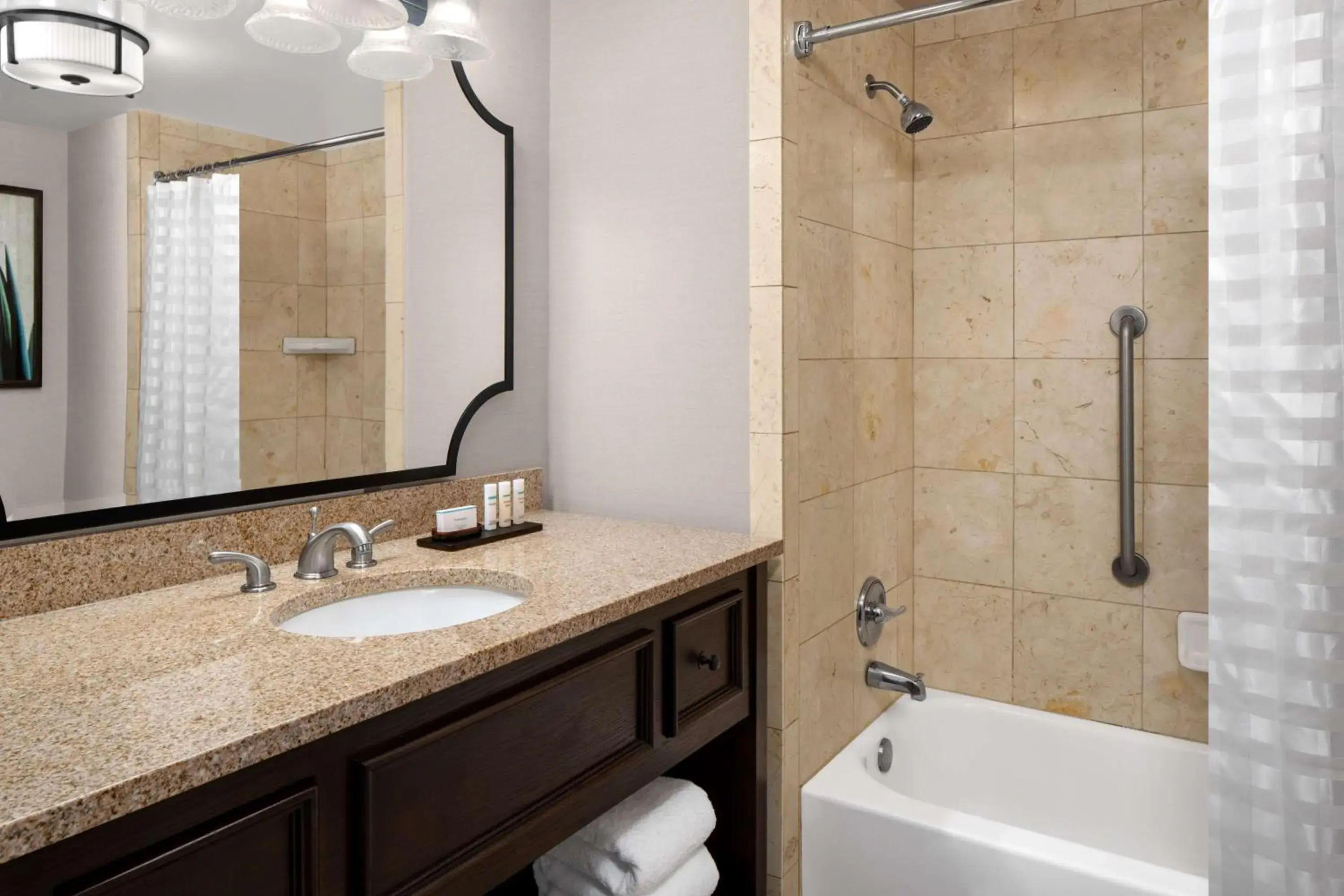 Bathroom in Embassy Suites San Antonio Riverwalk-Downtown