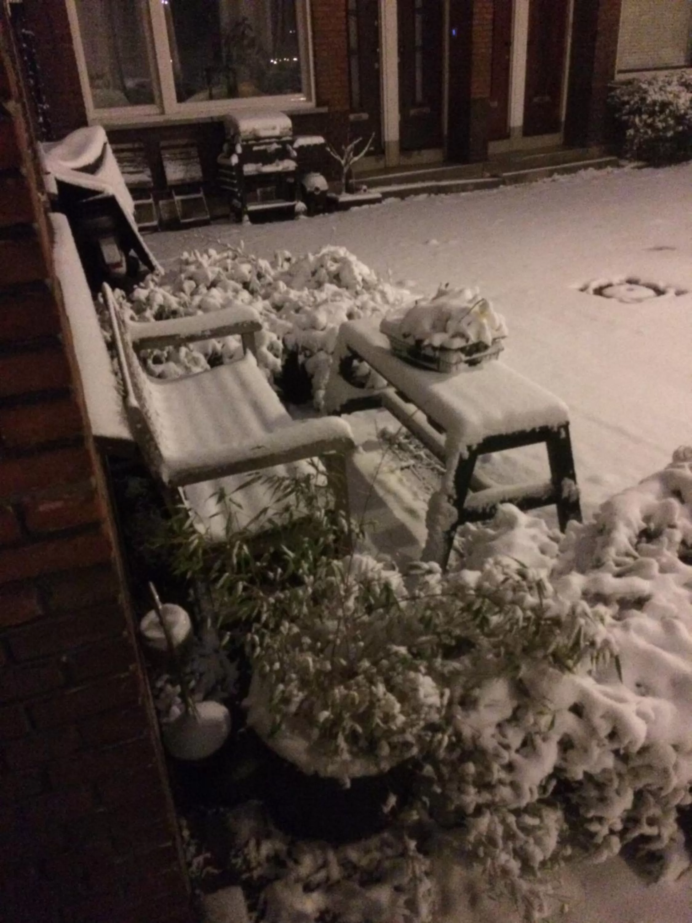 Night in Imagine My B&B