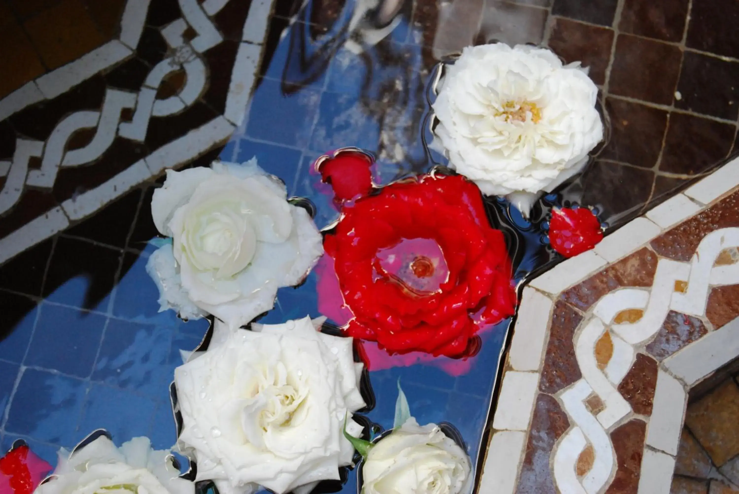 Decorative detail, Food in Riad Viva