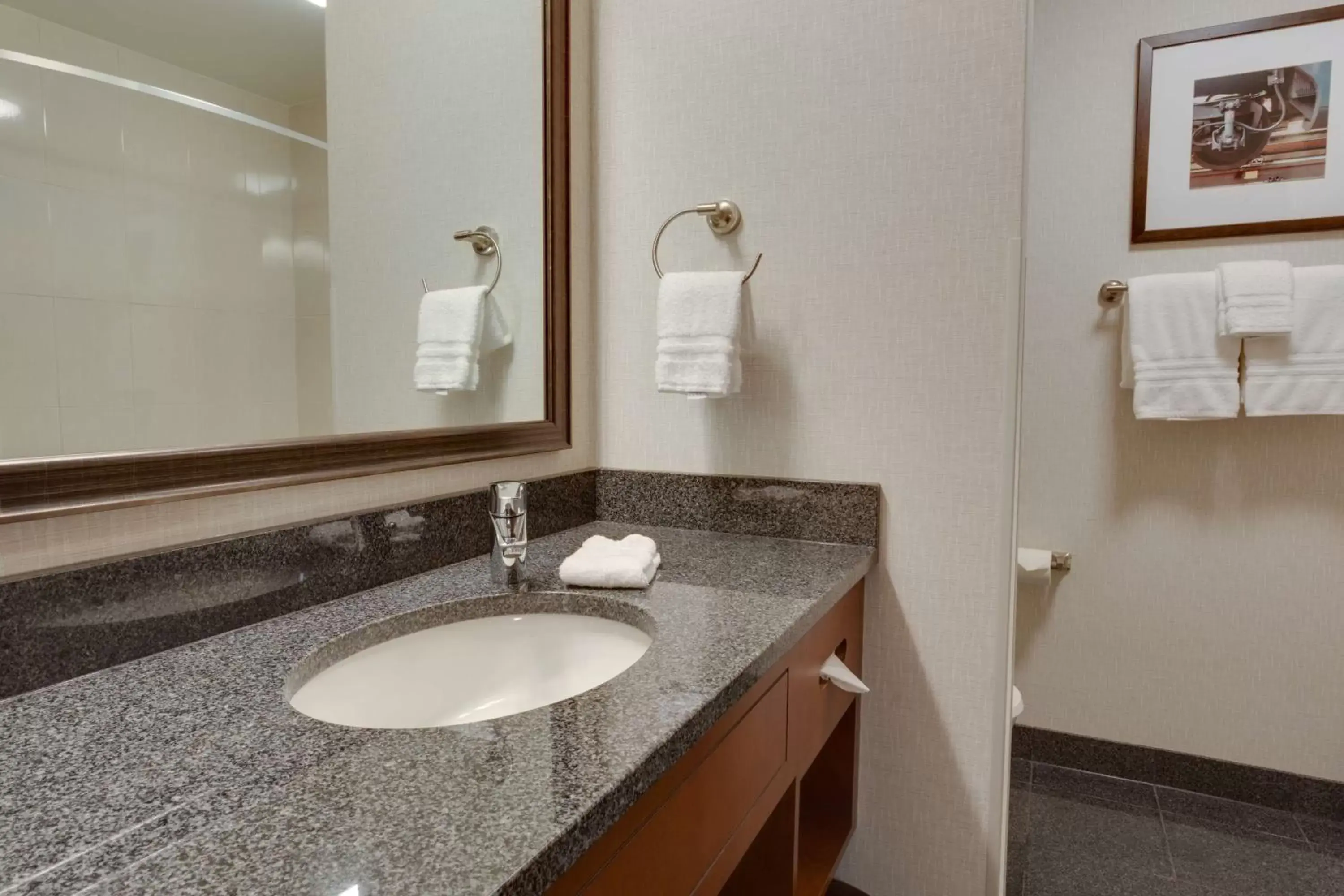 Bathroom in Drury Plaza Hotel St. Louis St. Charles