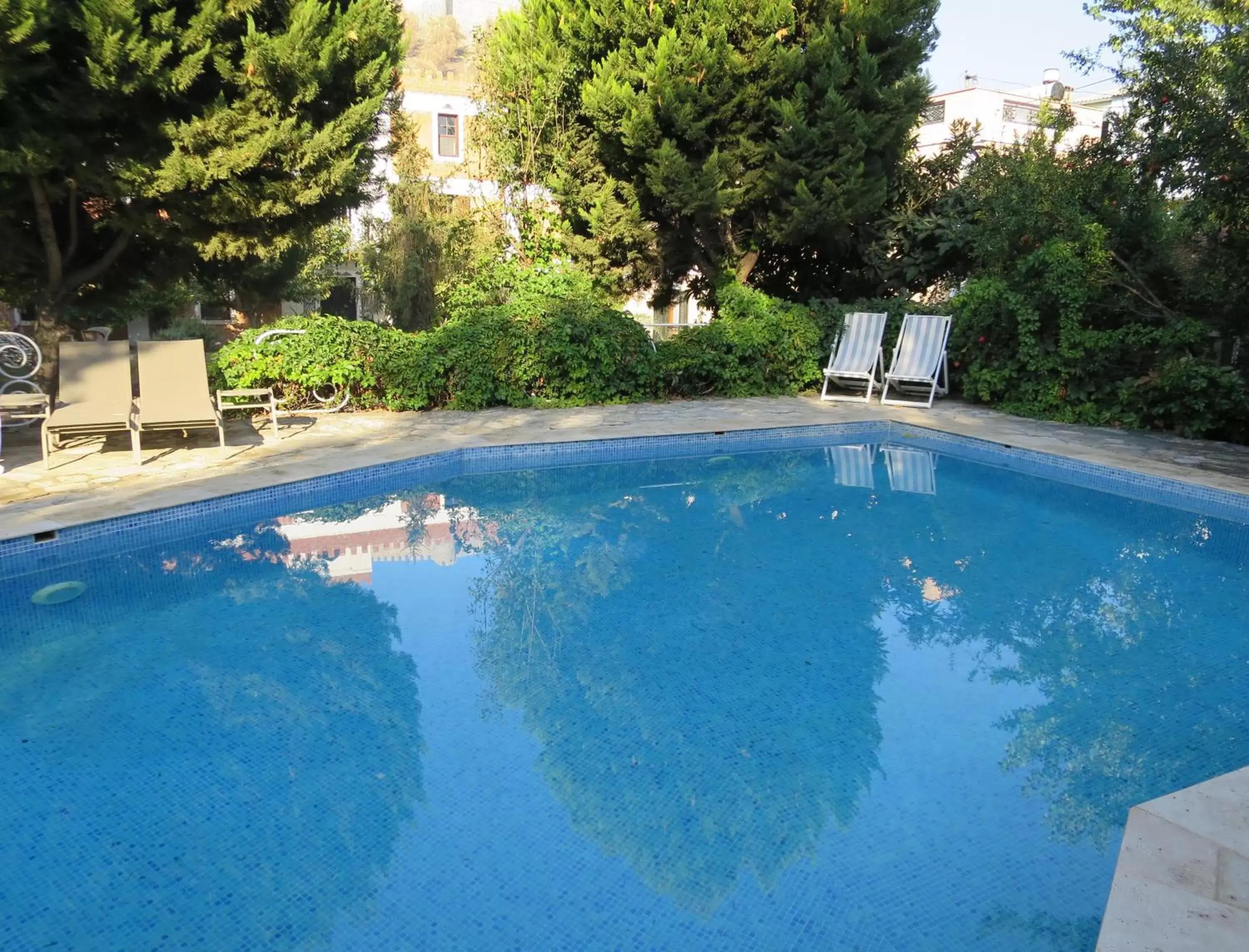 Garden, Swimming Pool in Hotel Kalehan