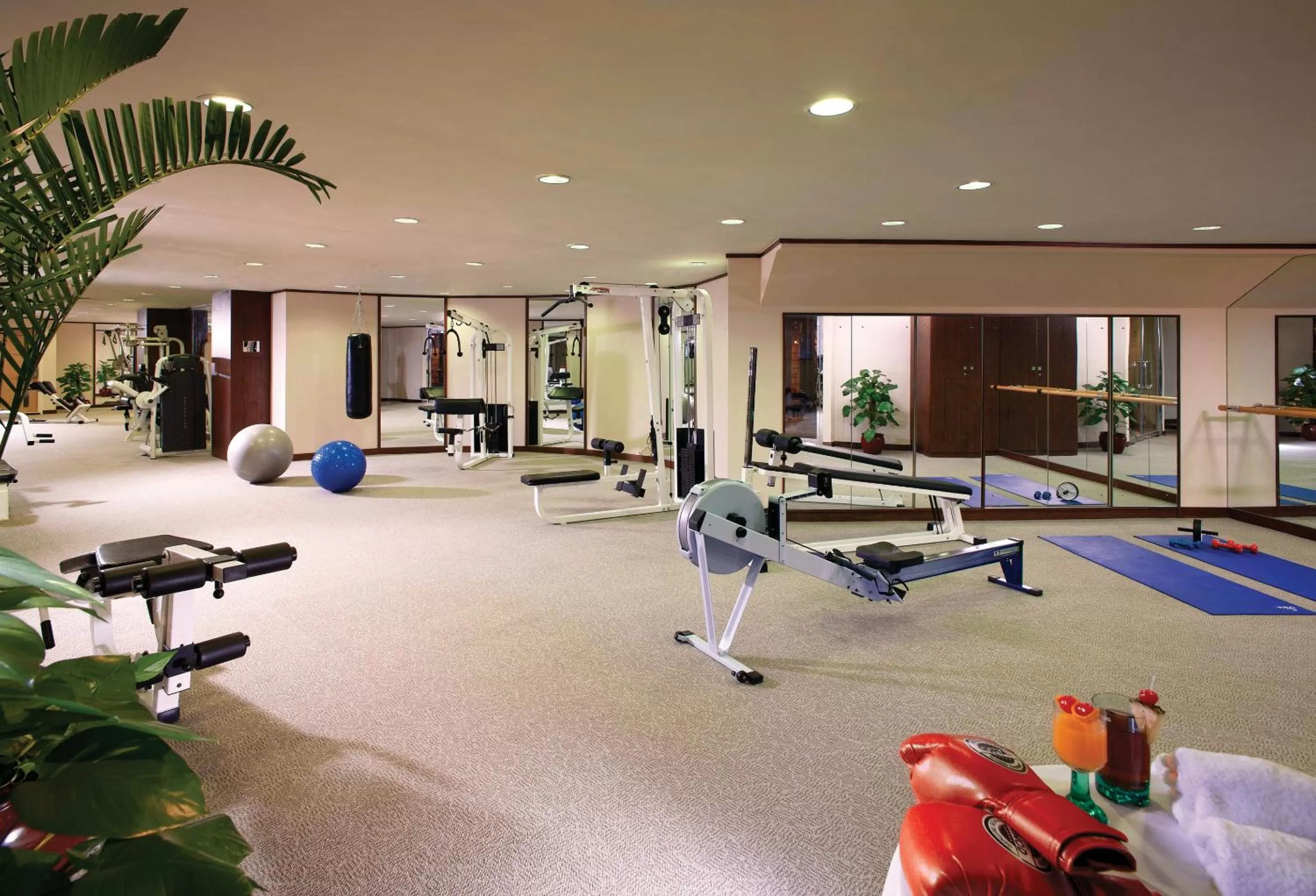 Fitness centre/facilities in Harbour Plaza Metropolis