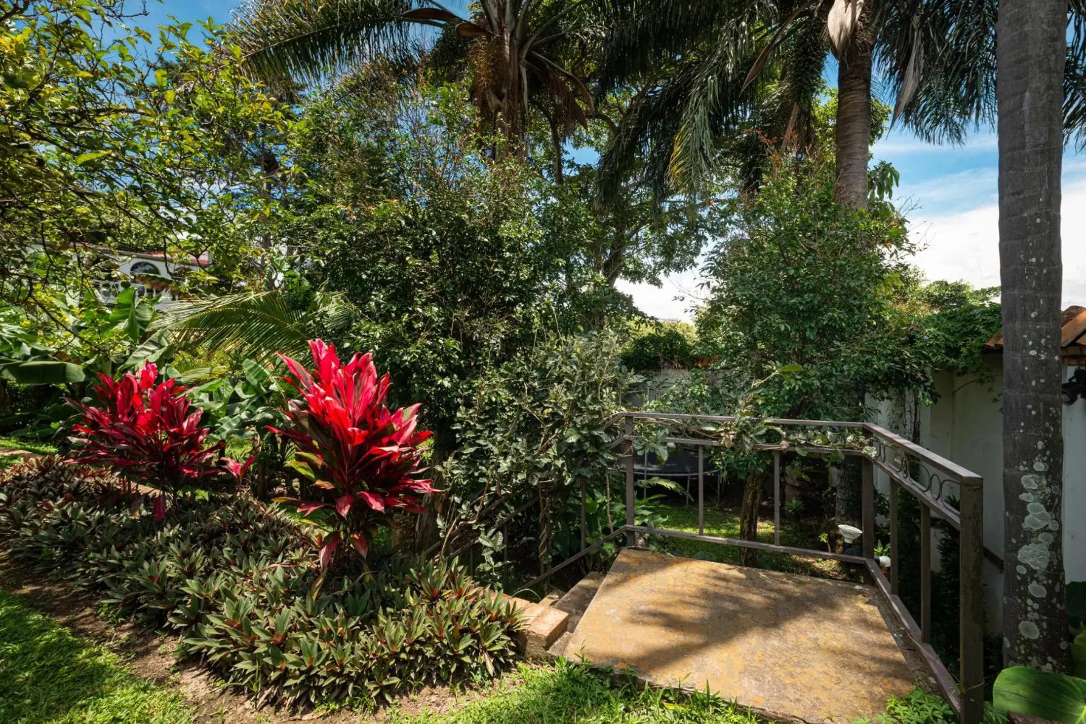 Garden in Posada el Quijote