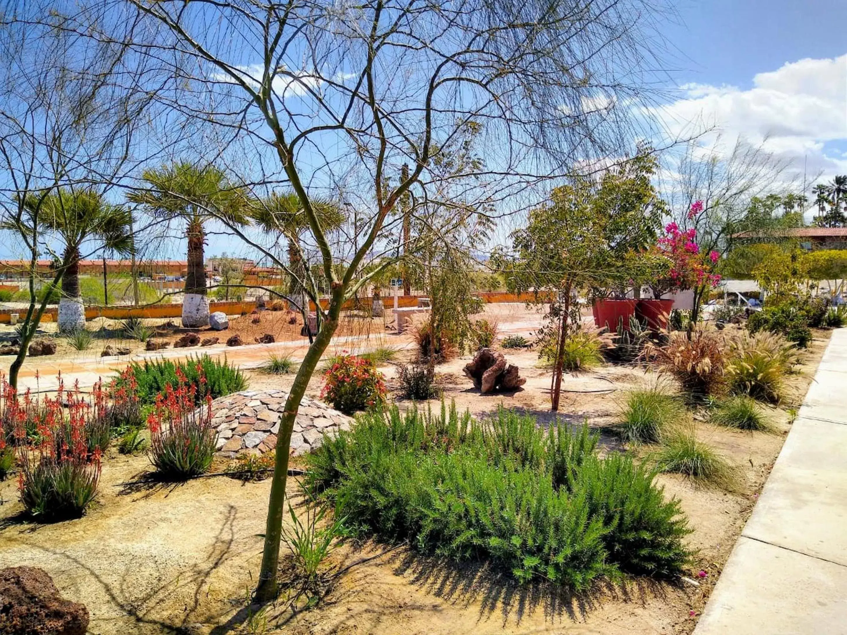 Garden in Hotel Las Palmas