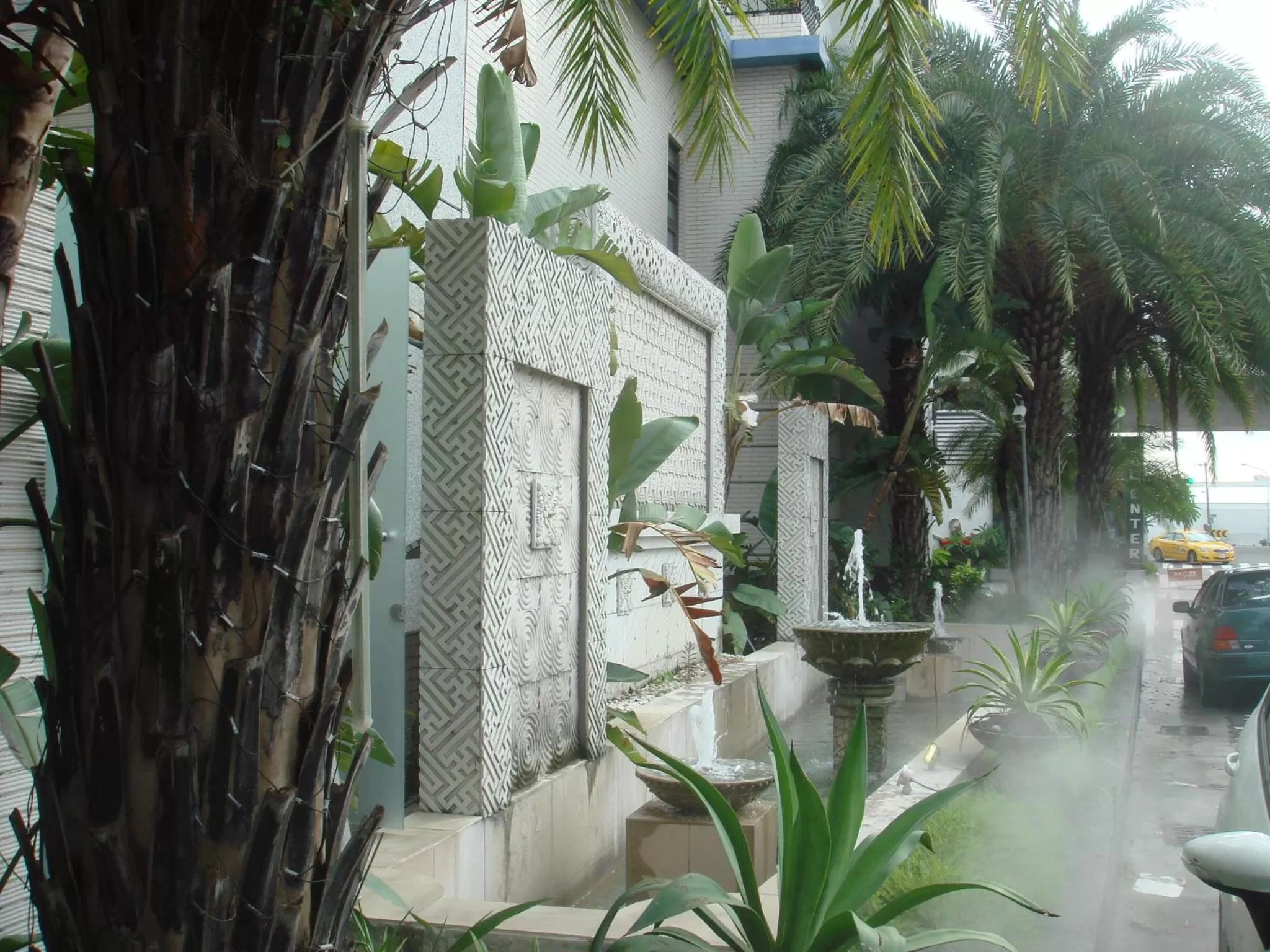 Garden view in Dryad Motel