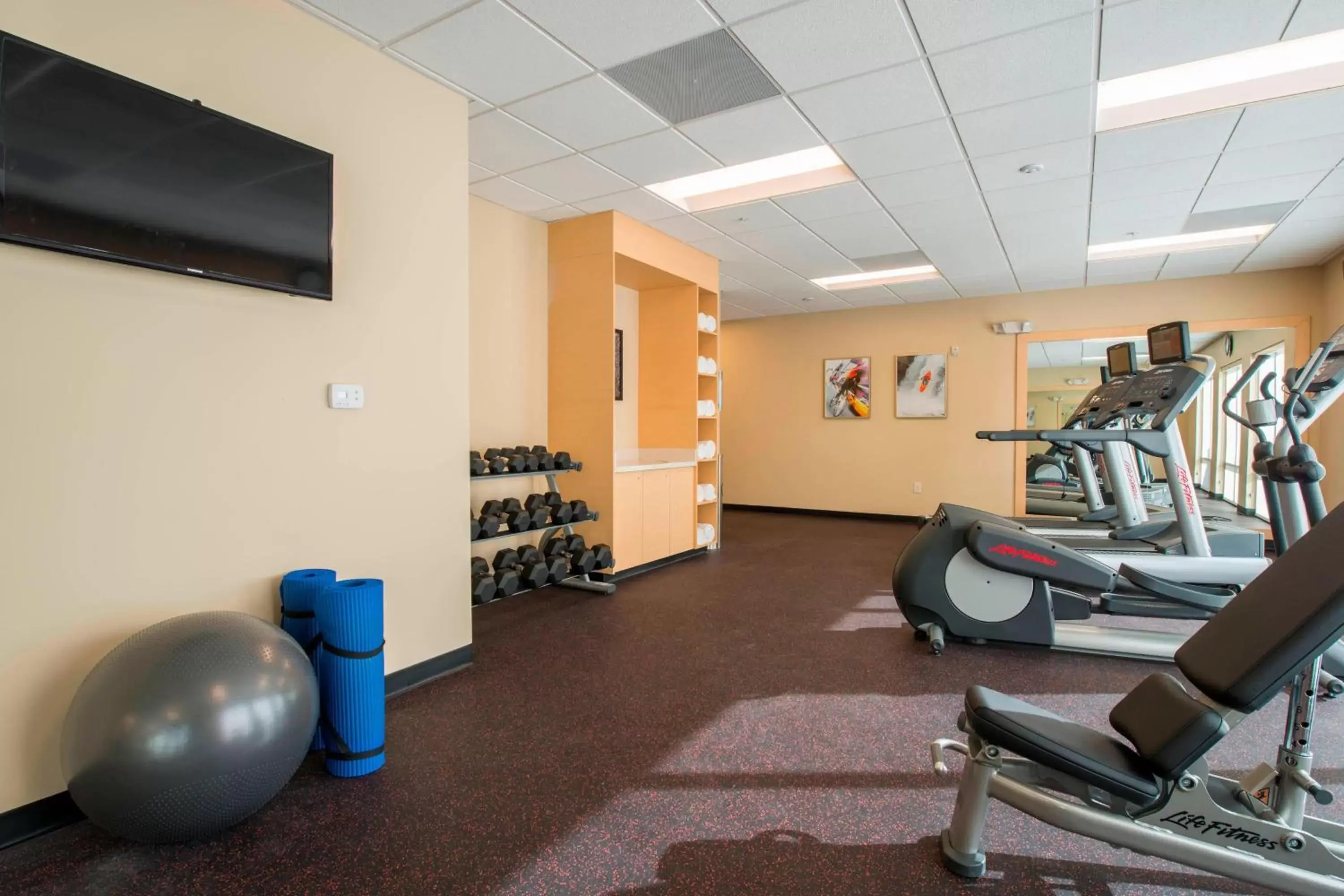 Fitness centre/facilities, Fitness Center/Facilities in TownePlace Suites by Marriott Newnan