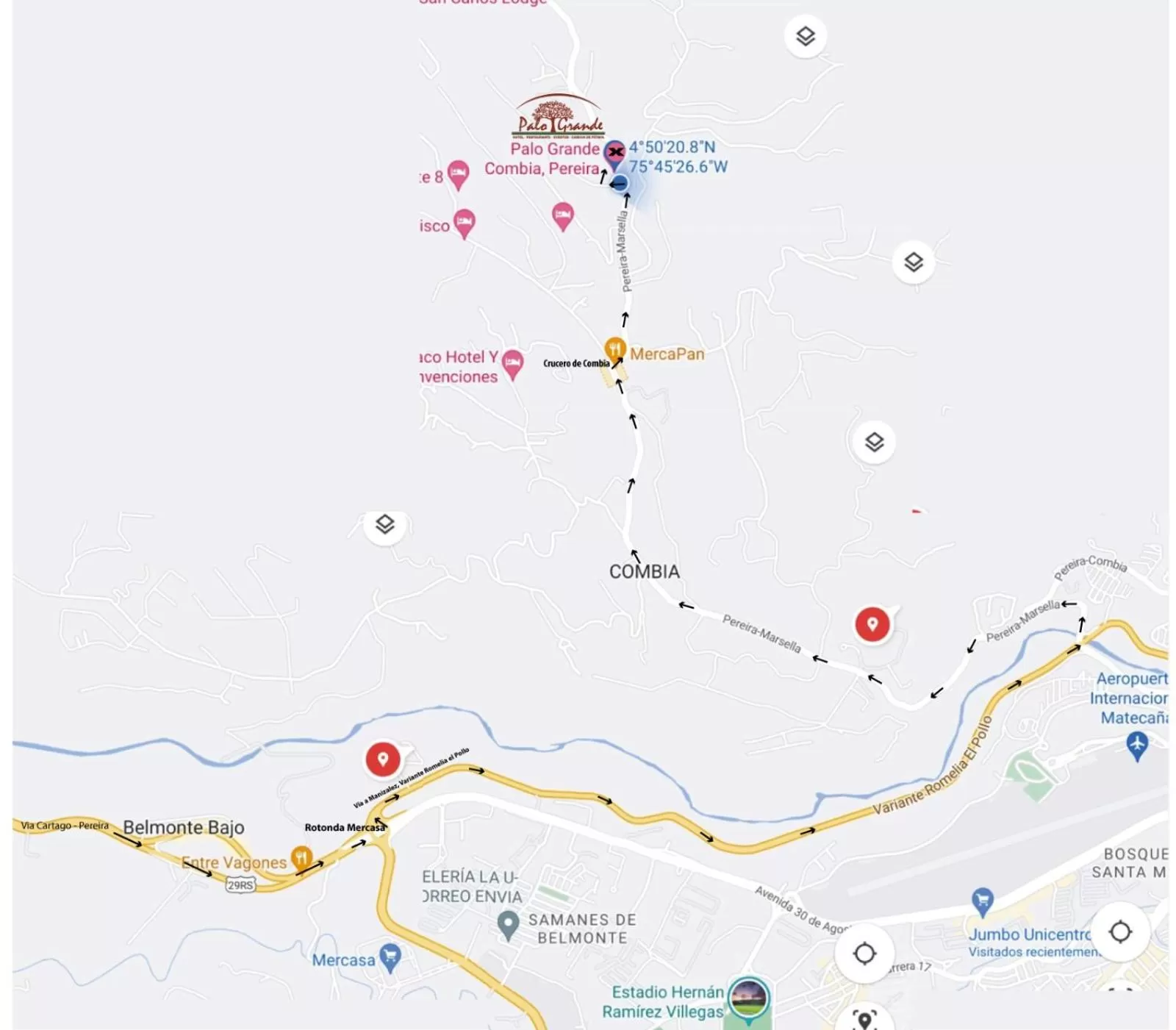 Location in Hotel Palo Grande CF Pereira