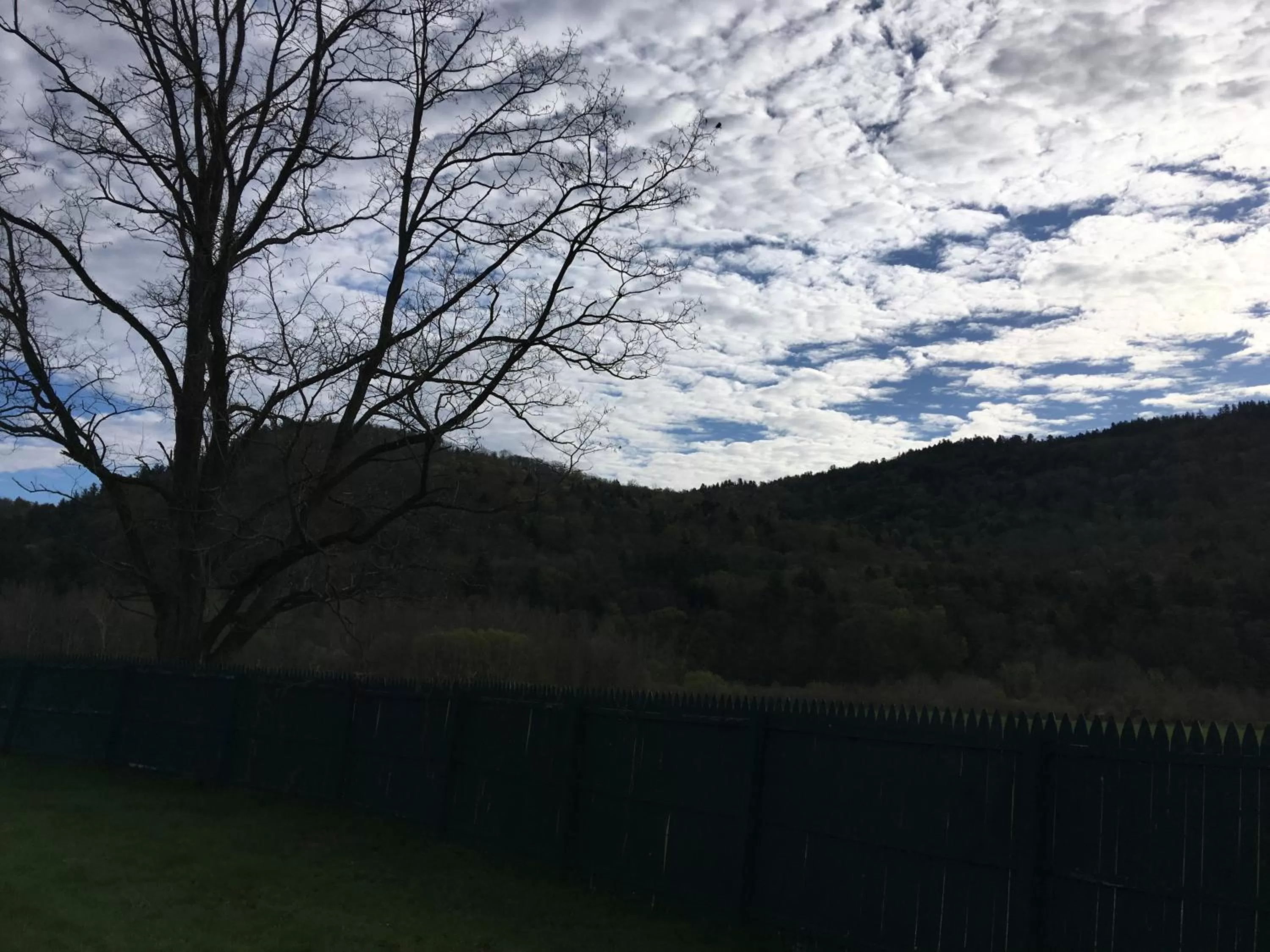 Natural landscape in The Lodge at West River