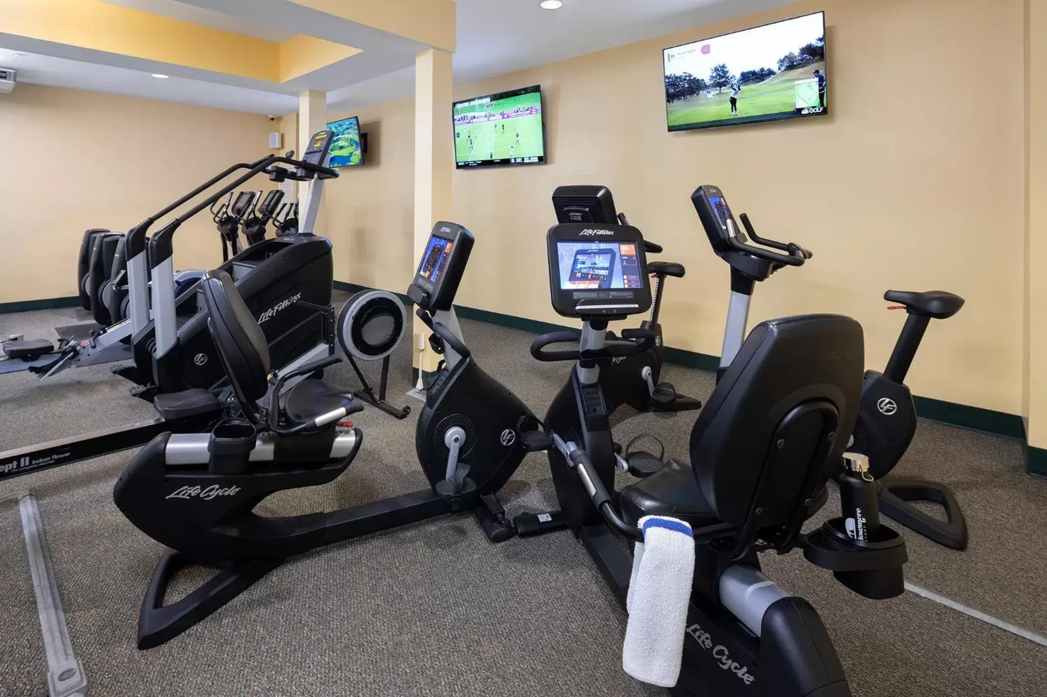 Fitness centre/facilities, Fitness Center/Facilities in Meadowmere Resort