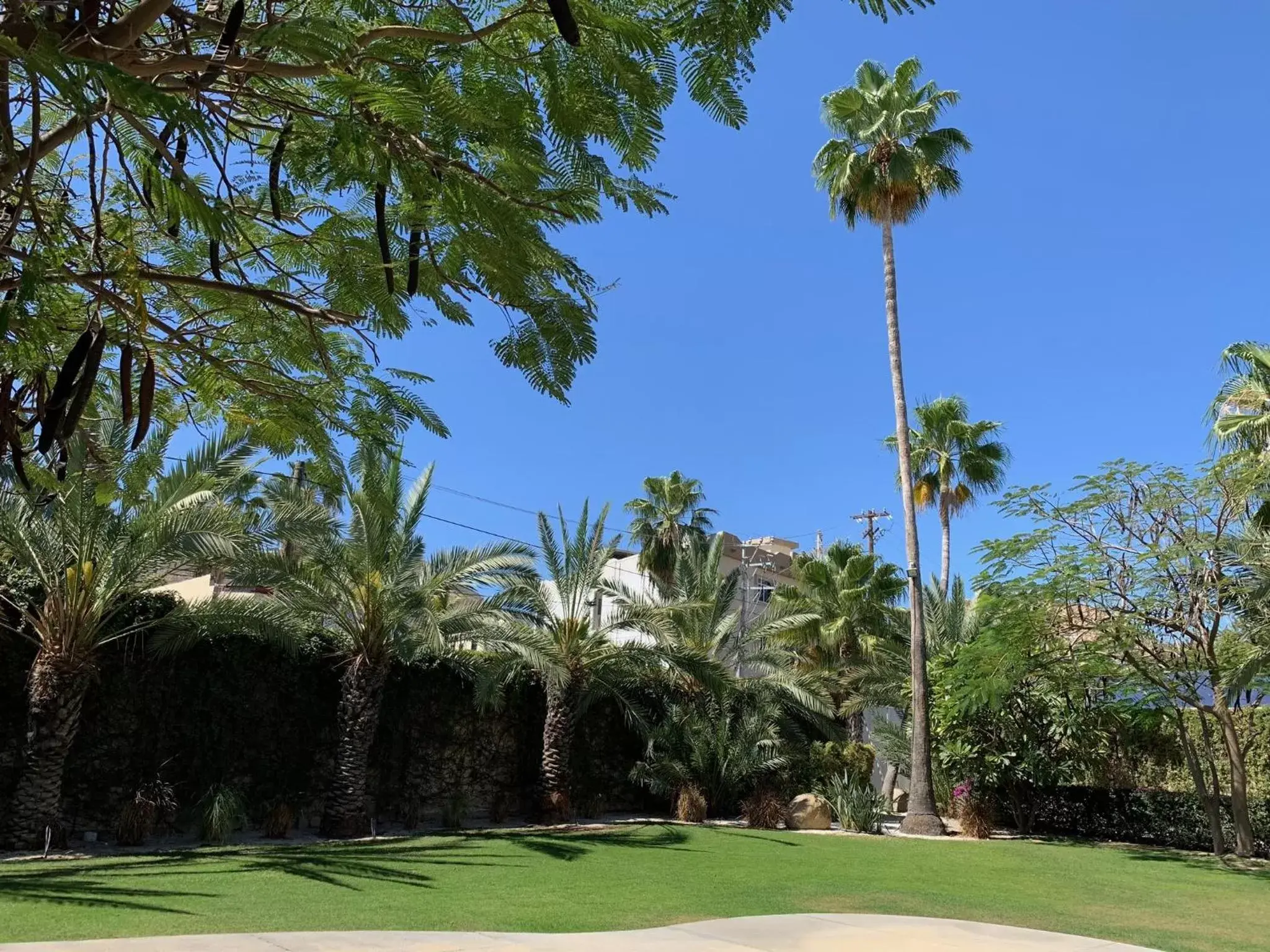 Garden in Los Milagros Hotel