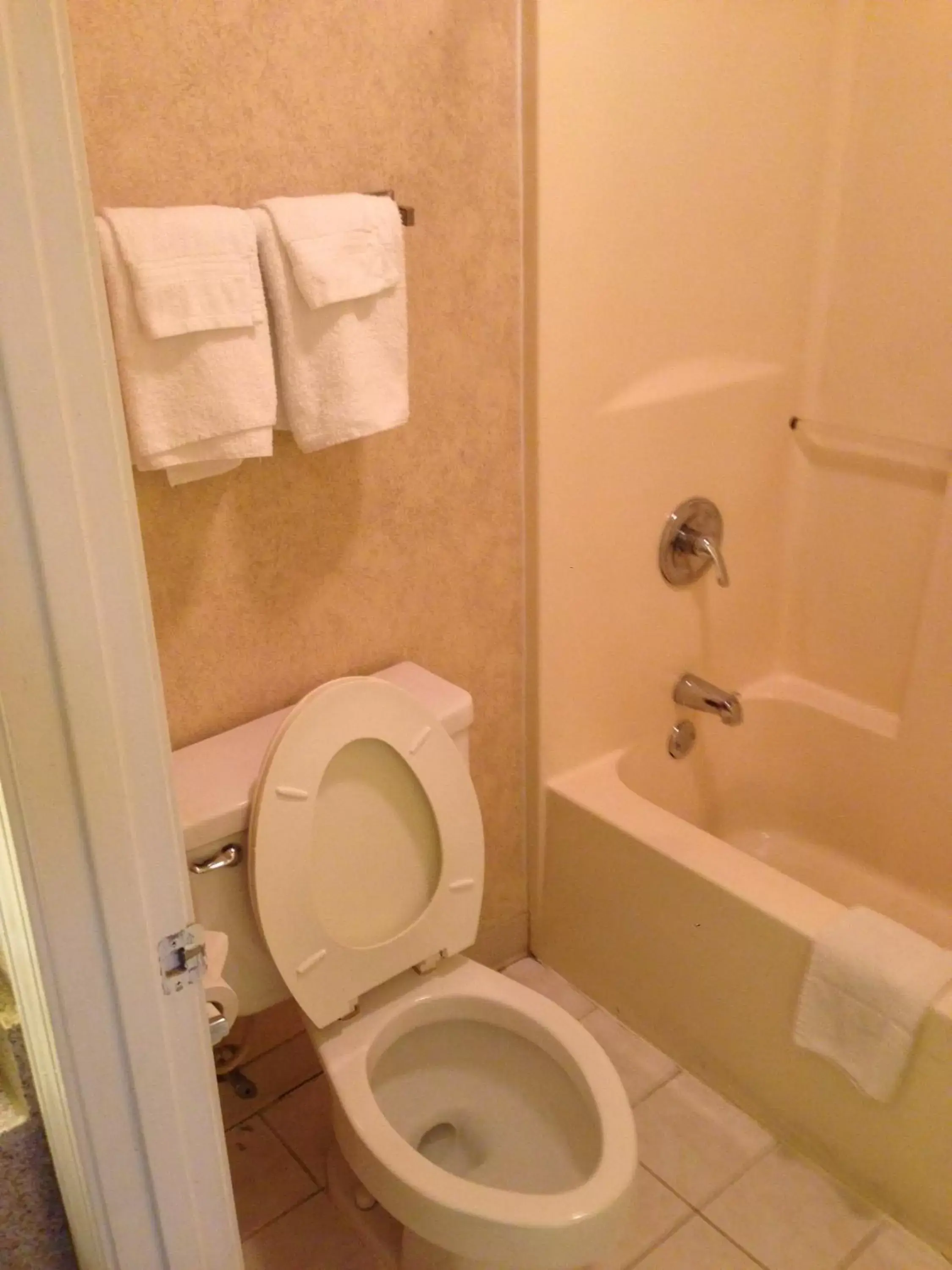 Bathroom in Super 8 by Wyndham Arkadelphia Caddo Valley Area