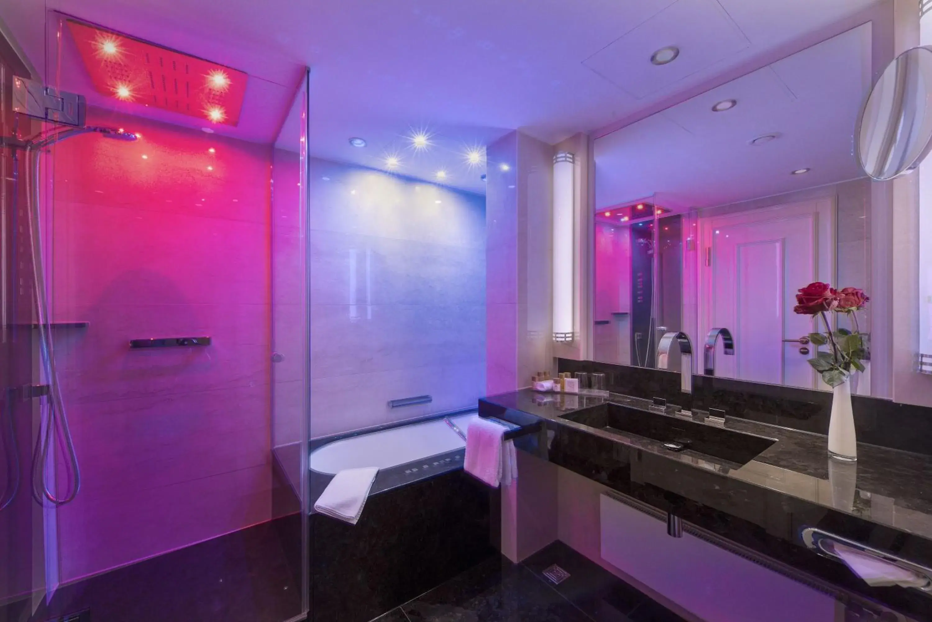 Shower, Bathroom in Maritim Hotel Bremen