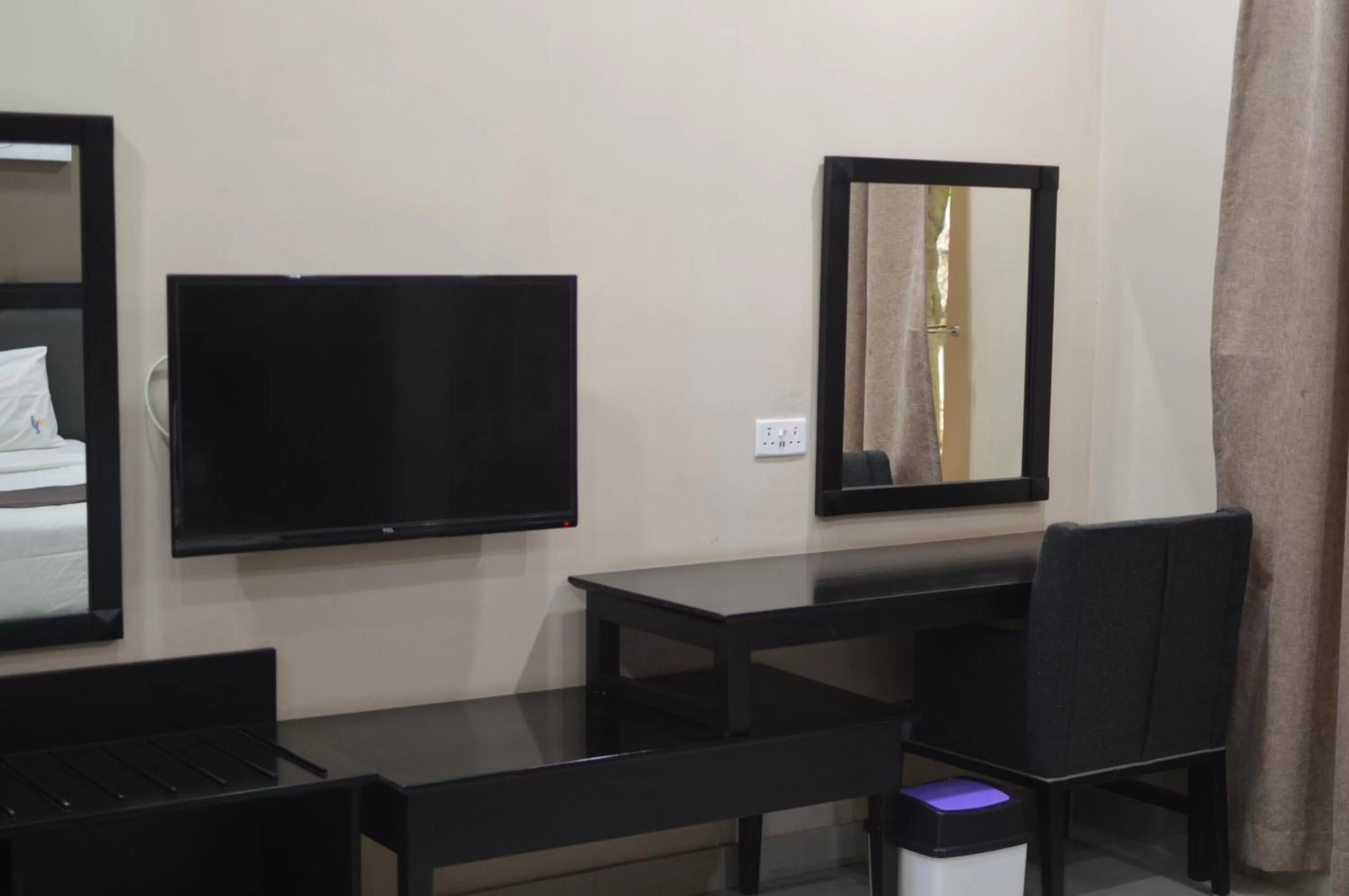 TV and multimedia in Palm Kalash Hotel