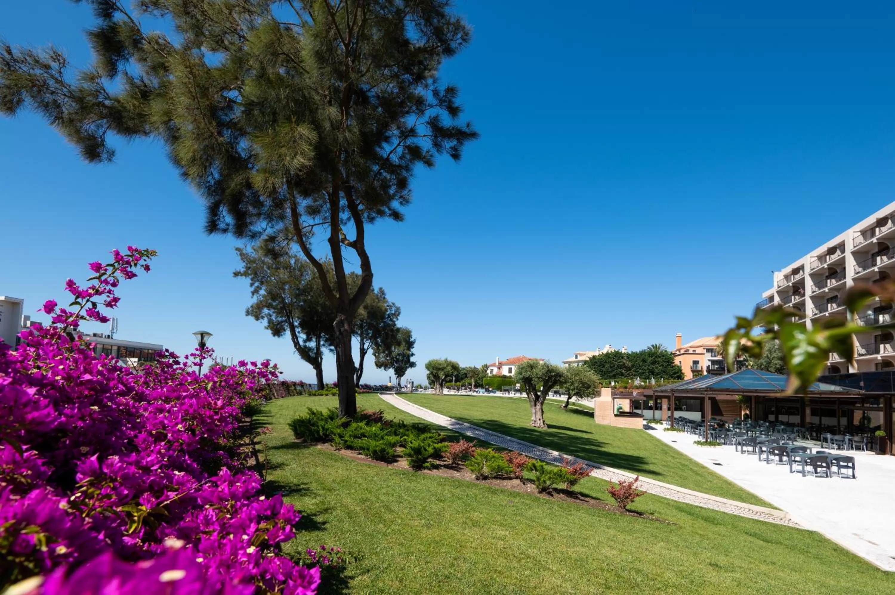 Garden in Vila Gale Cascais