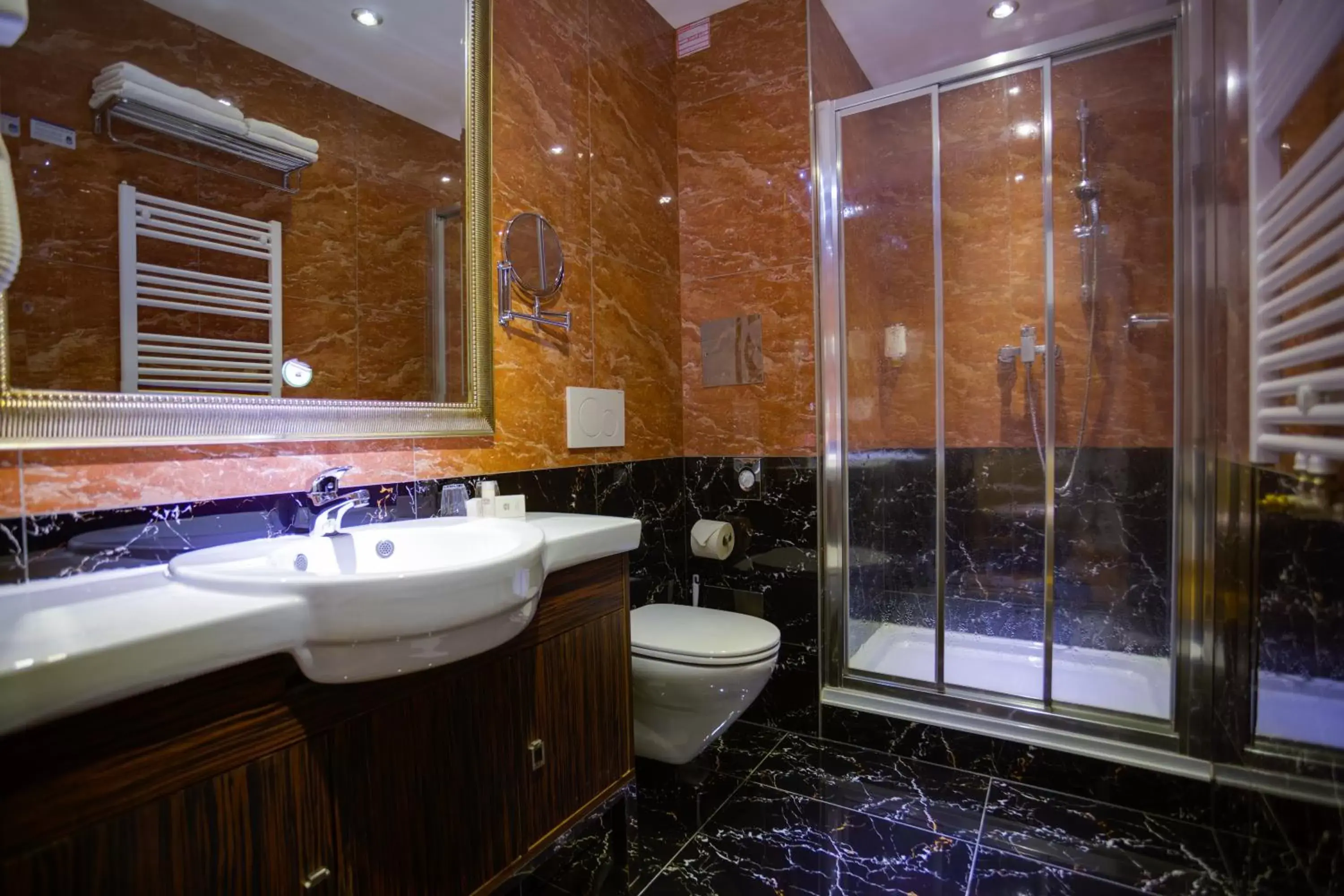 Shower, Bathroom in Best Western Plus Hotel Arcadia