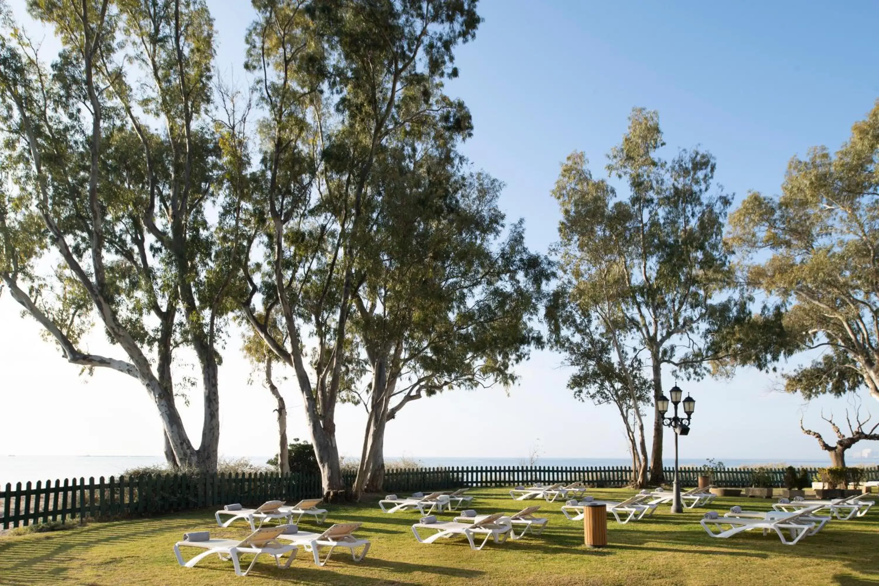 Garden in Hotel Roses Platja