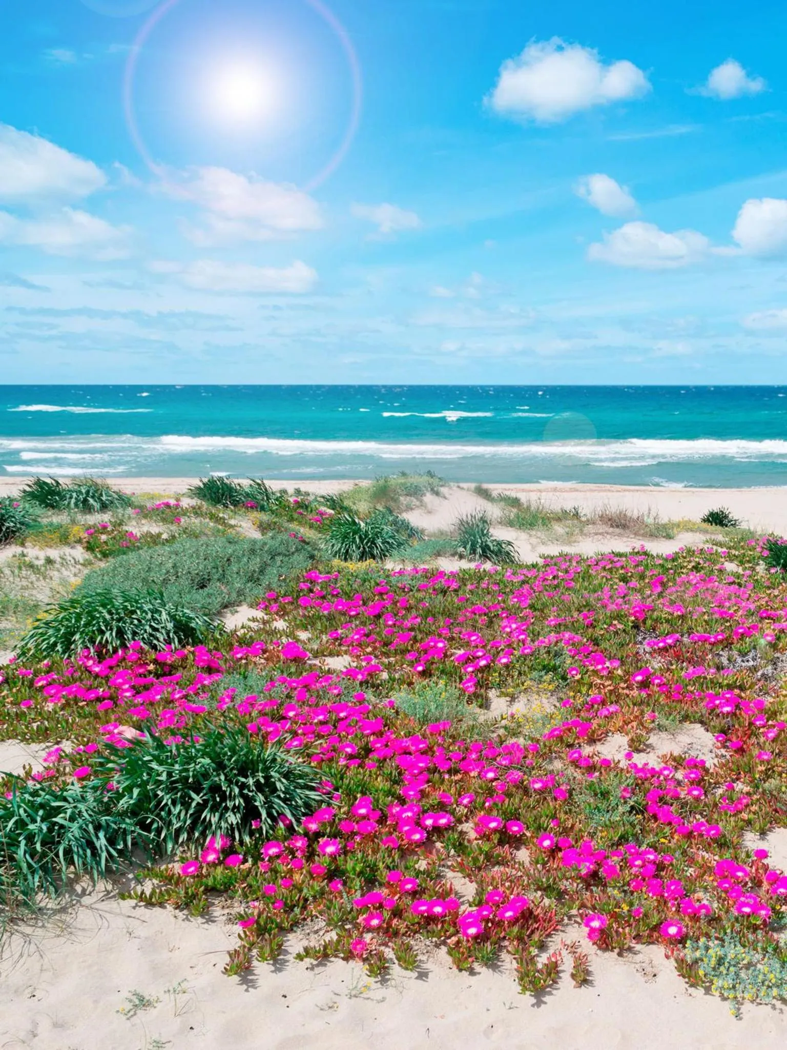 Day in Marina Manna Hotel and Club Village