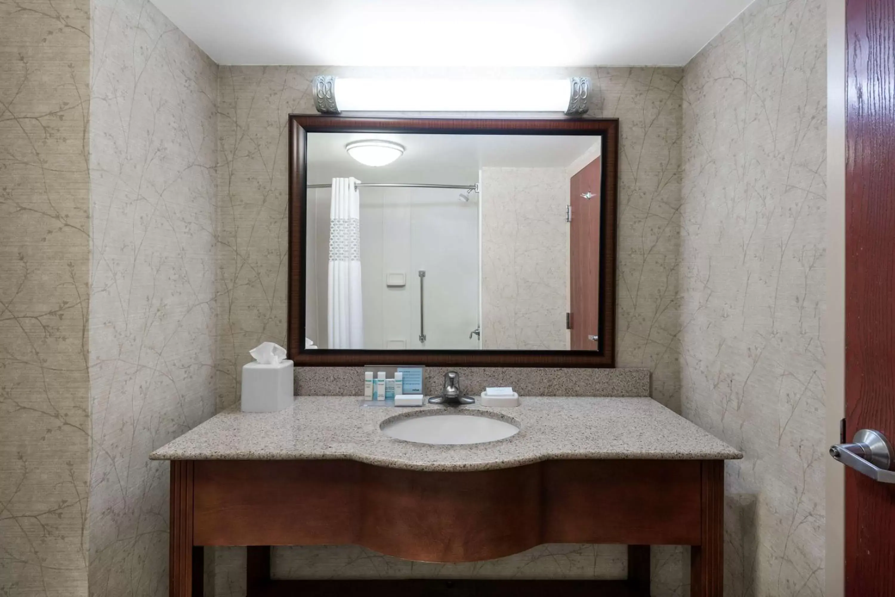 Bathroom in Hampton Inn Roanoke/Hollins - I-81