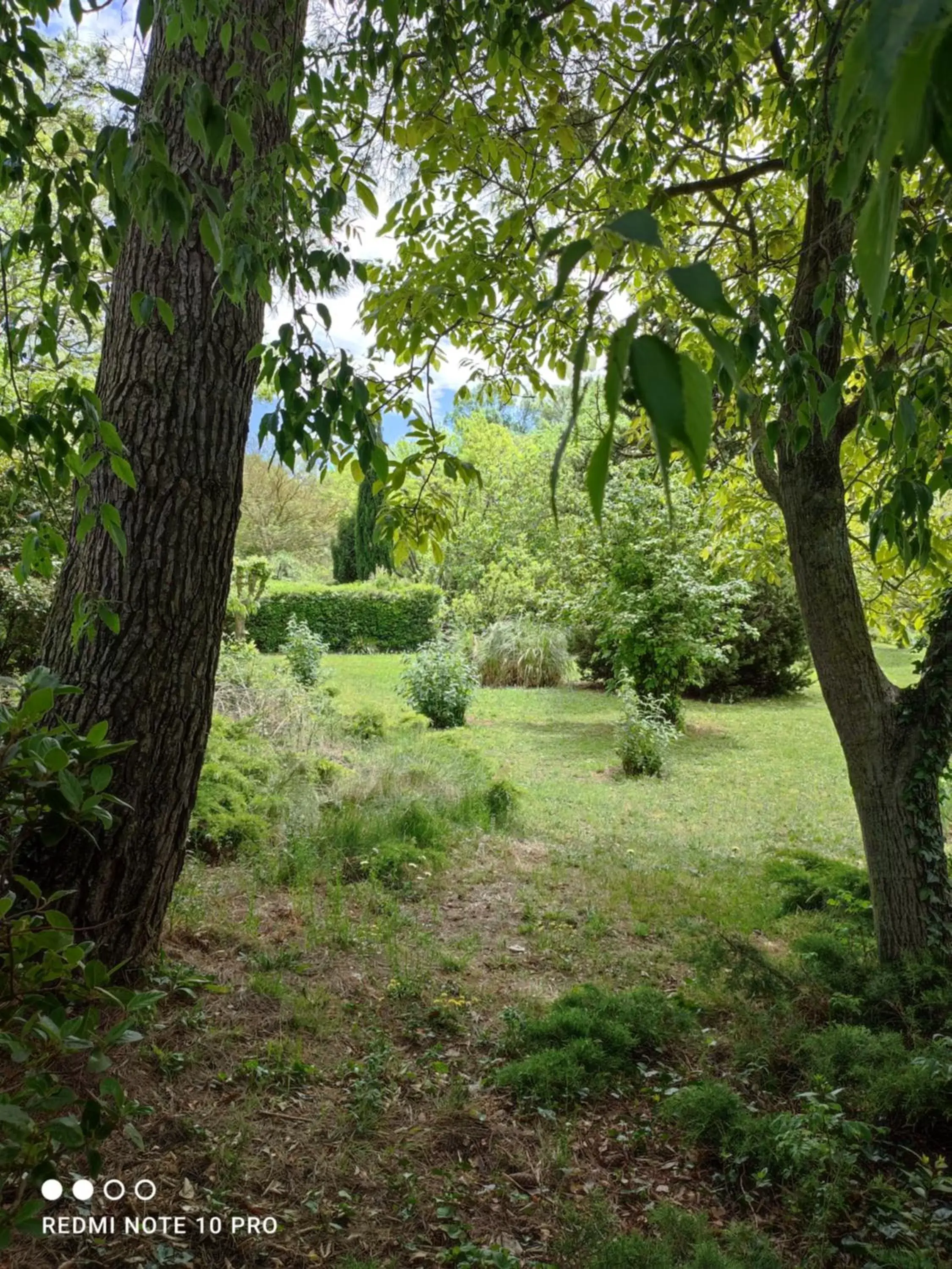 Garden in Château Saint-Martin