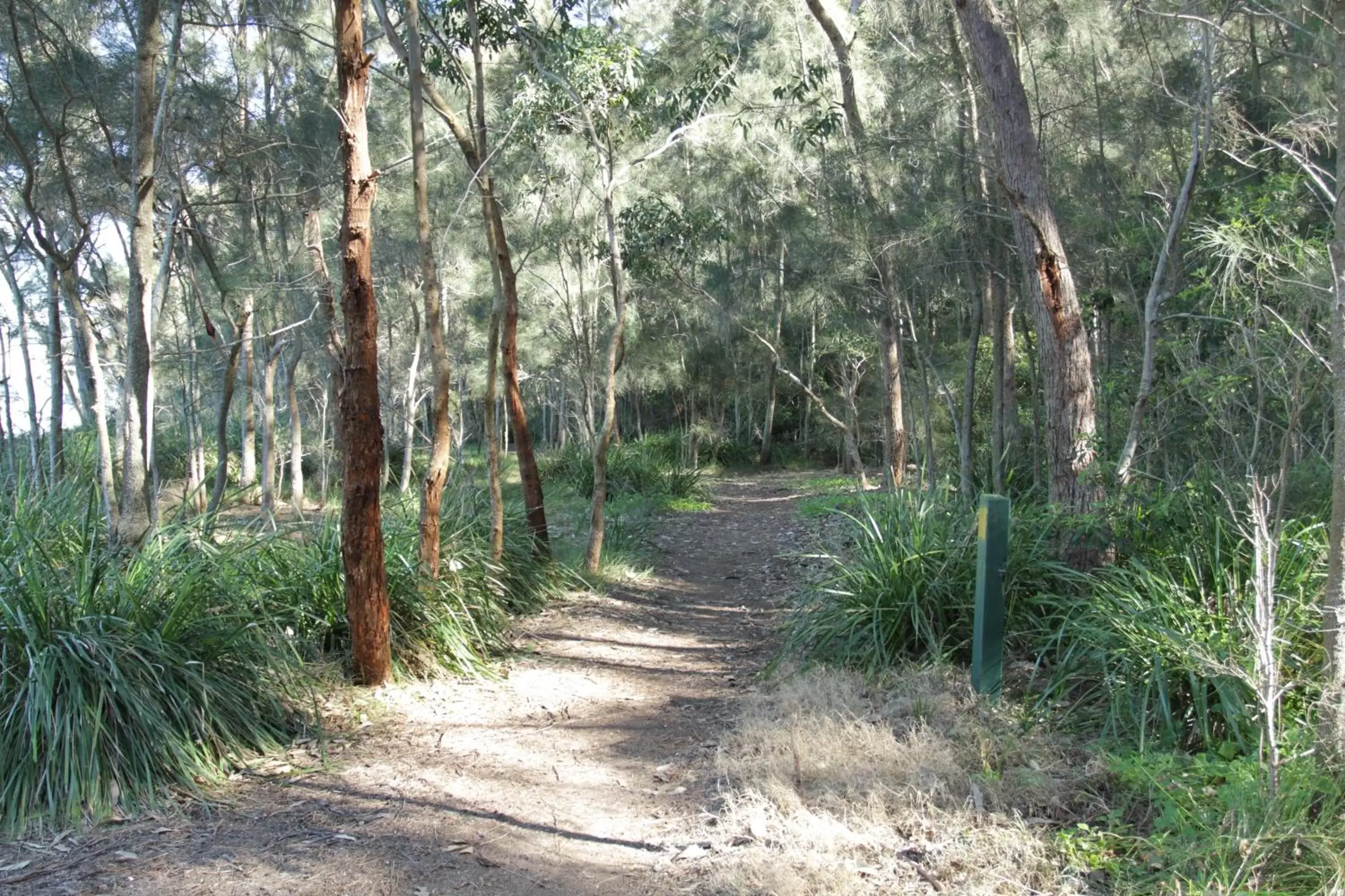 Natural landscape in The Edgewater Bed & Breakfast