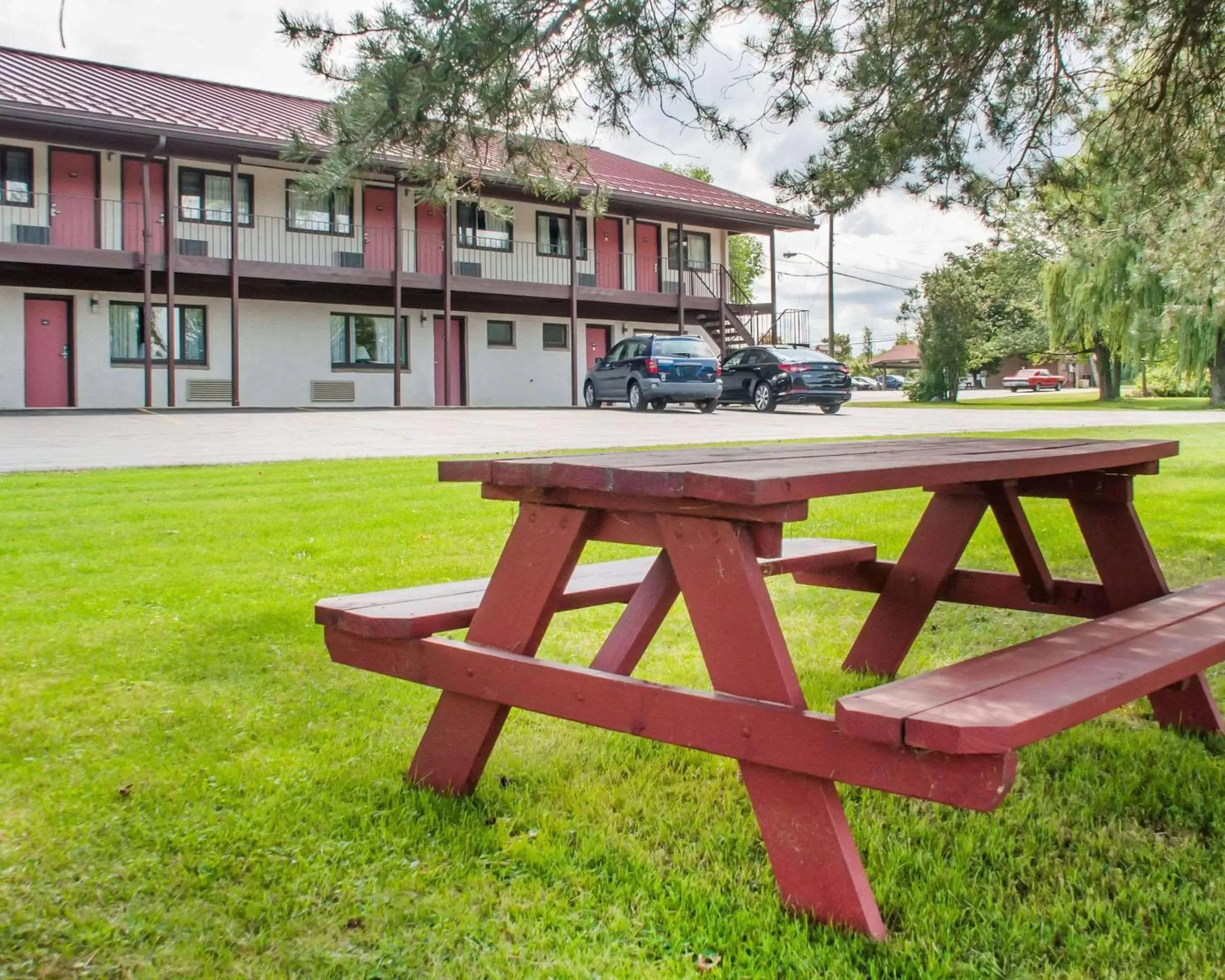 Other, Garden in Econo Lodge Buffalo South