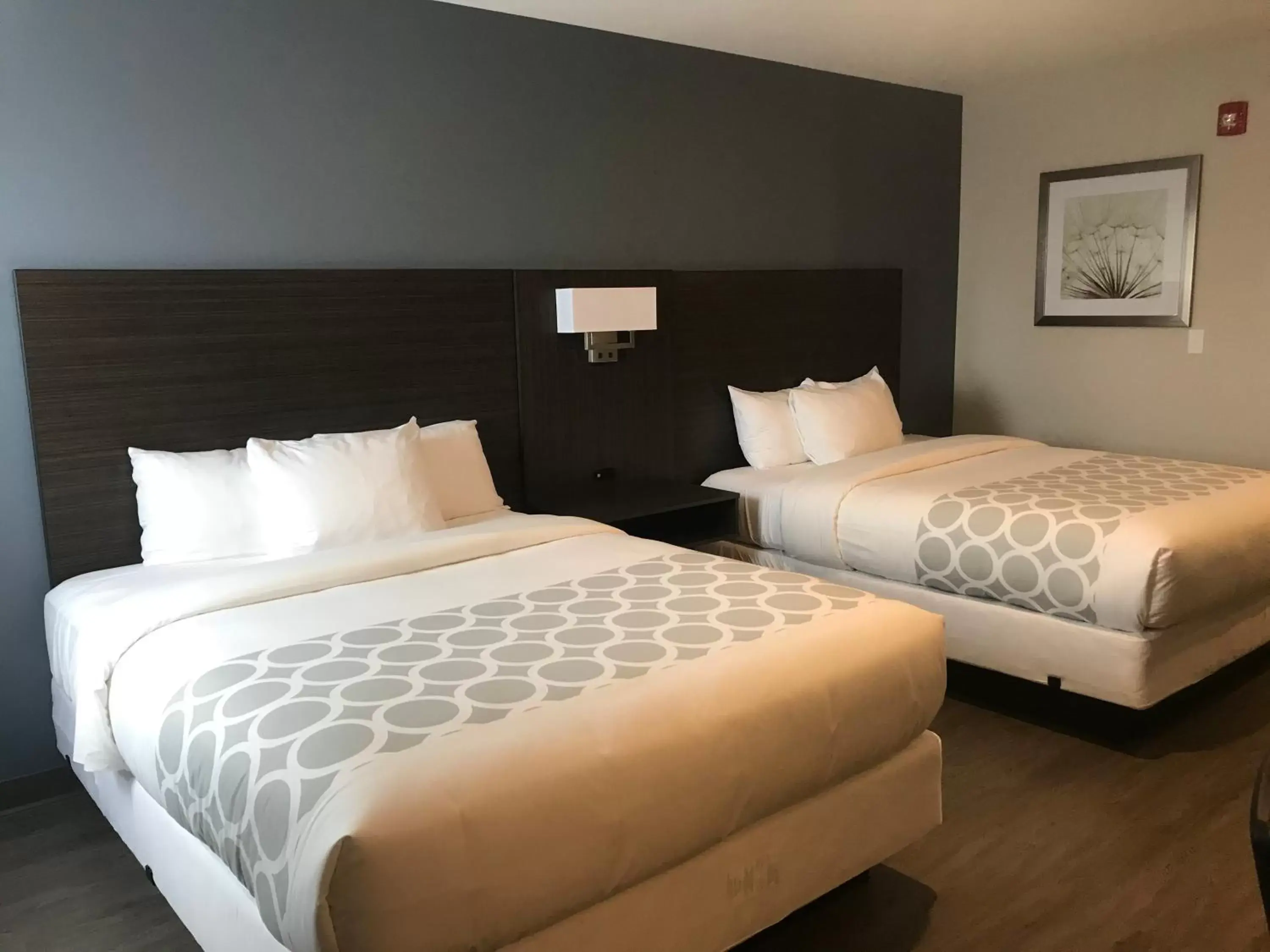 Bed in Howard Johnson by Wyndham Thunder Bay