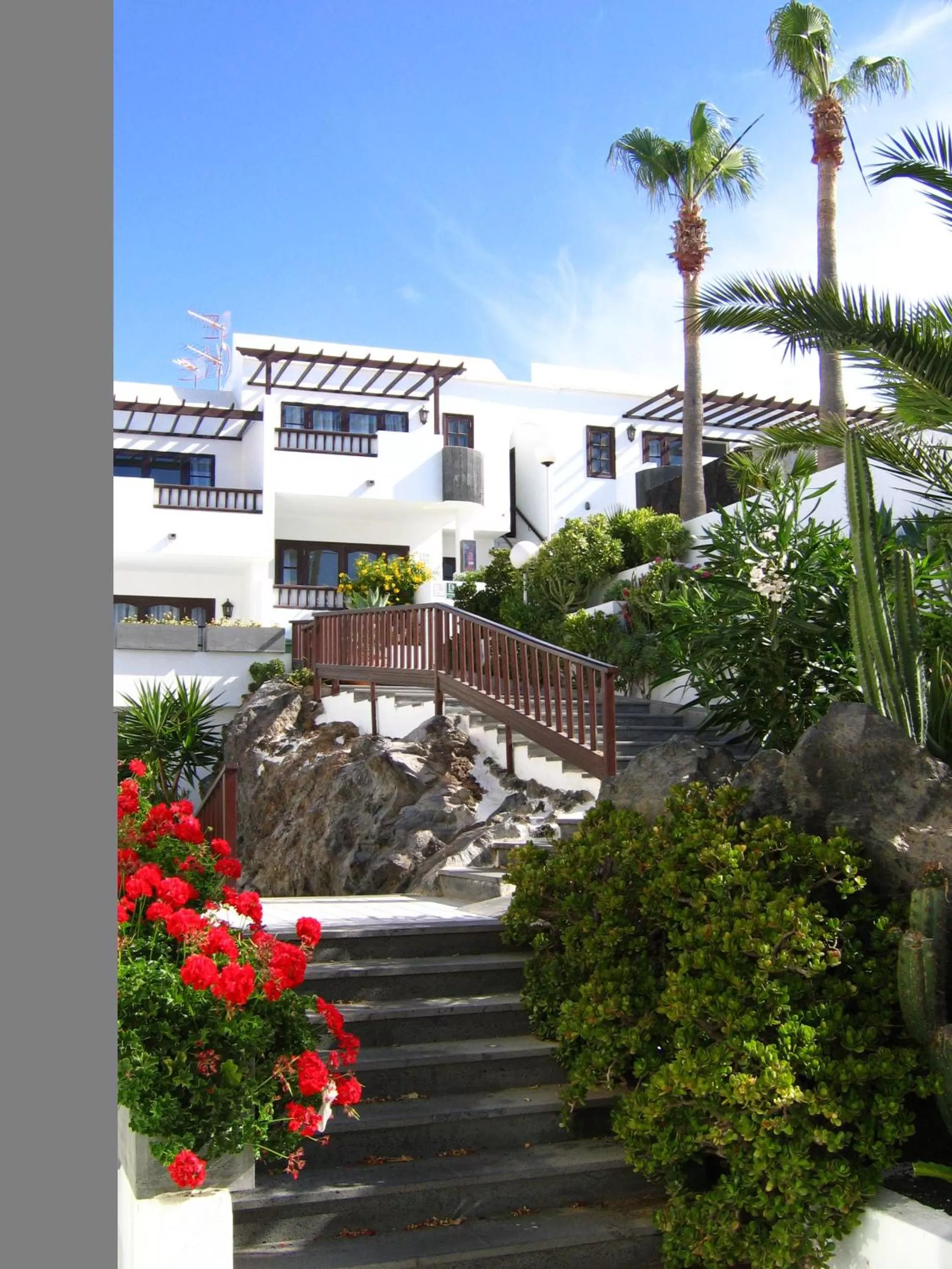 Garden in Plaza Azul
