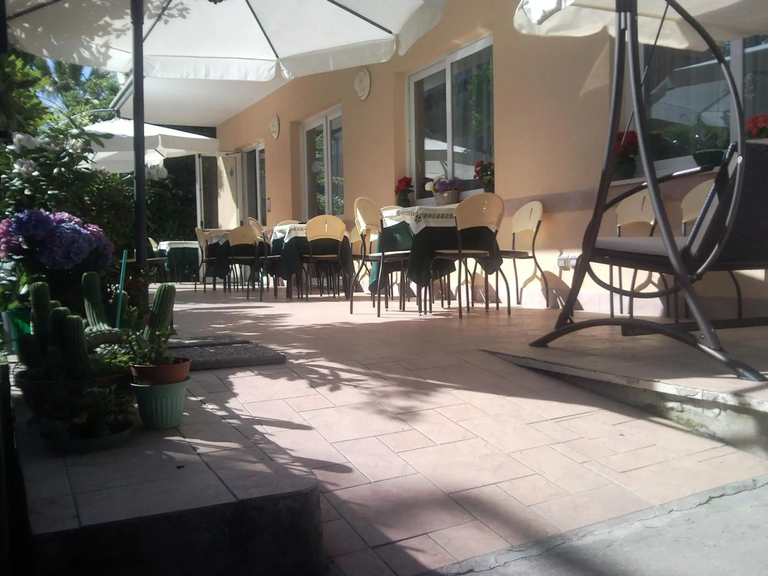 Patio, Restaurant/Places to Eat in Hotel Trinidad