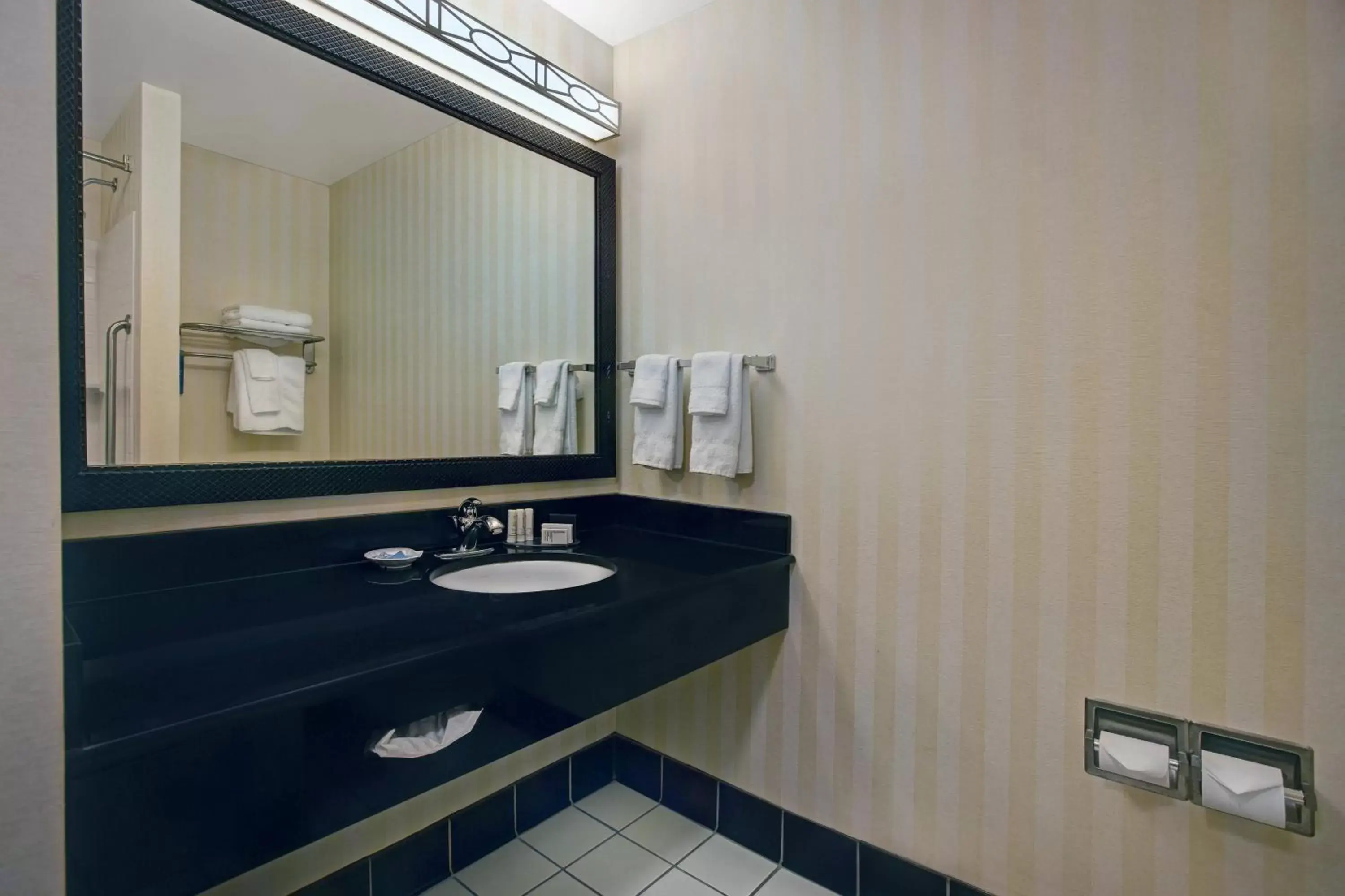 Bathroom in Fairfield Inn and Suites Carlsbad
