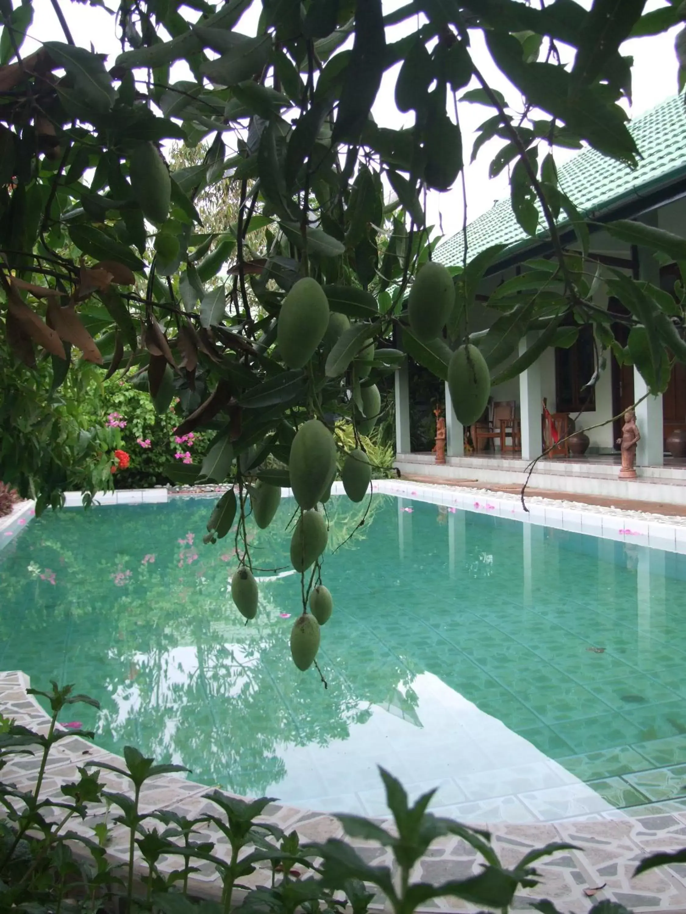 Pool view, Swimming Pool in Rumah Sawah