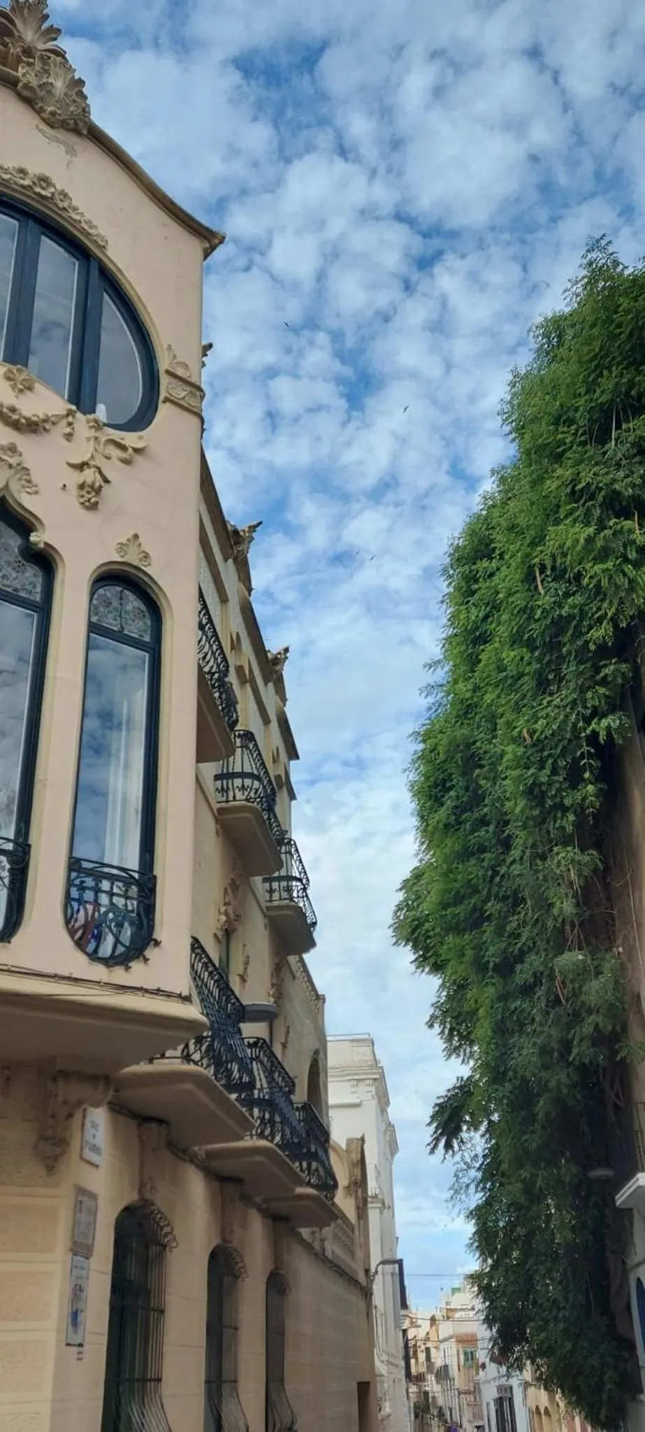 Property building in Hotel Noucentista