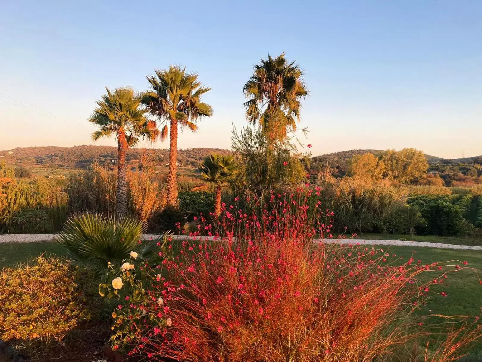 Garden in Quinta da Luz - A Luxury Boutique B&B