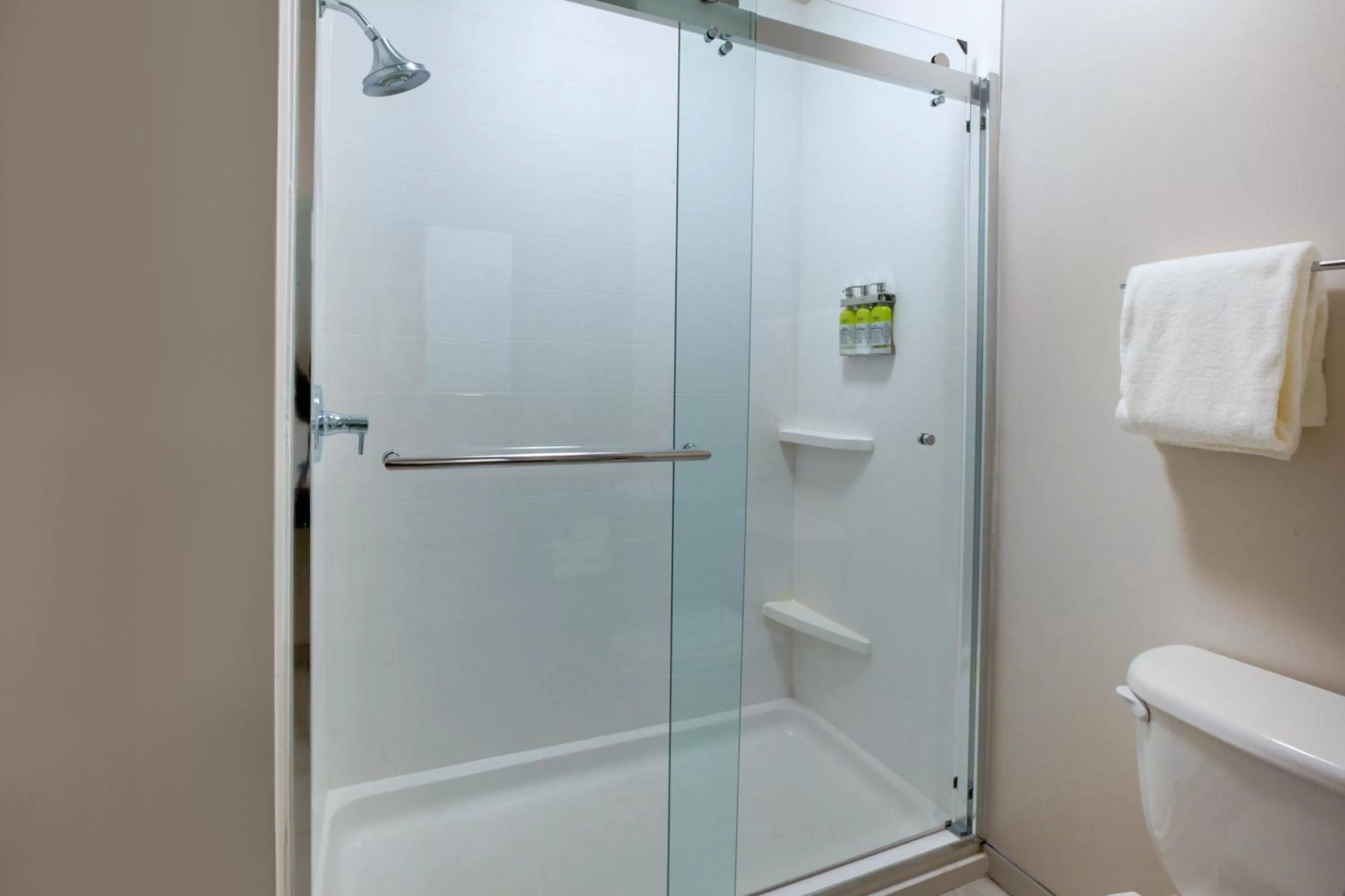 Photo of the whole room in Holiday Inn Express Hotel & Suites Woodhaven by IHG