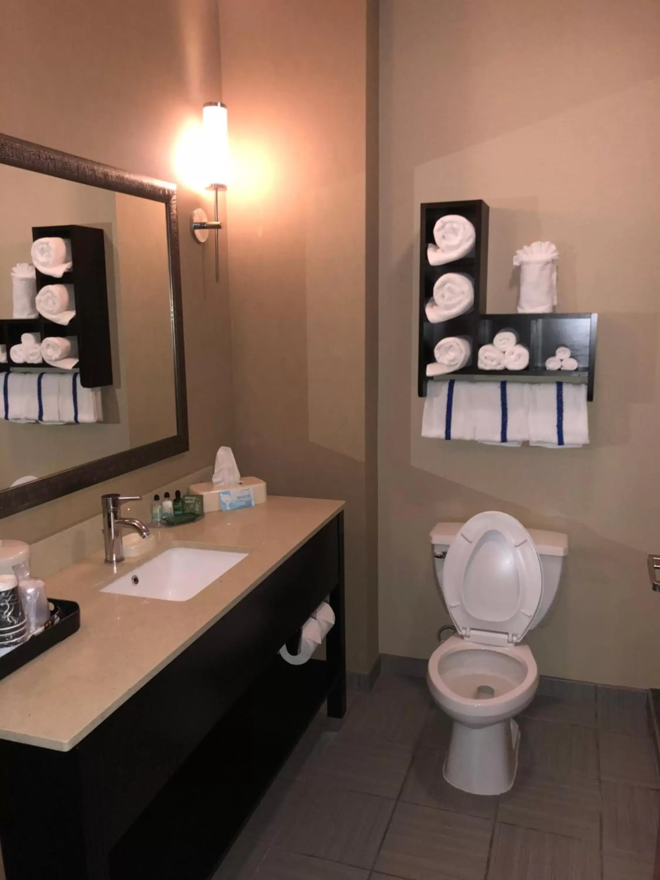 Bathroom in Countryview Inn & Suites