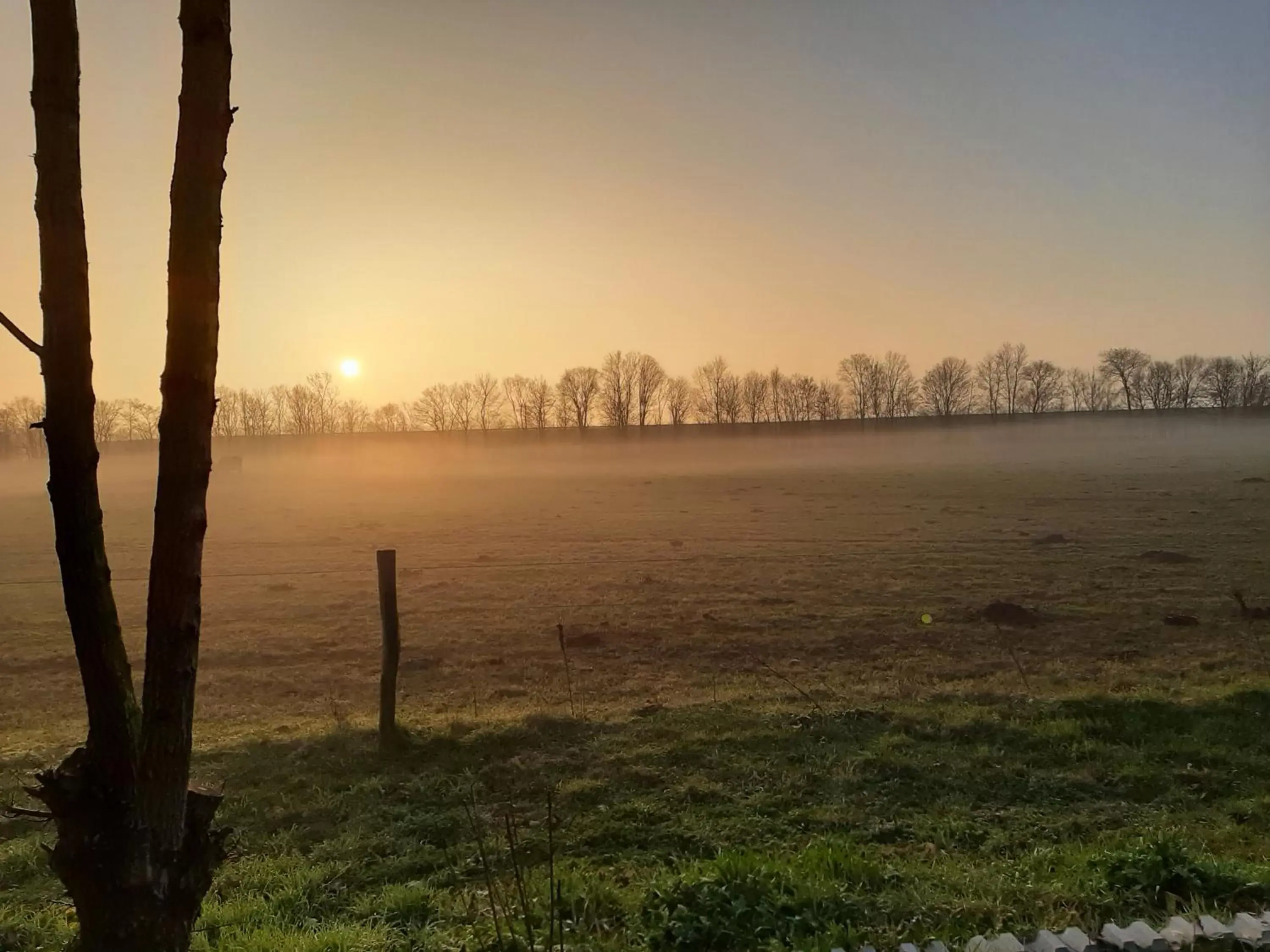 Sunrise/Sunset in BIESBOSCHBEST