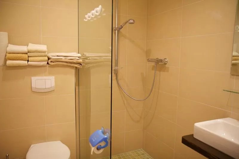 Shower in Biohotel Spöktal