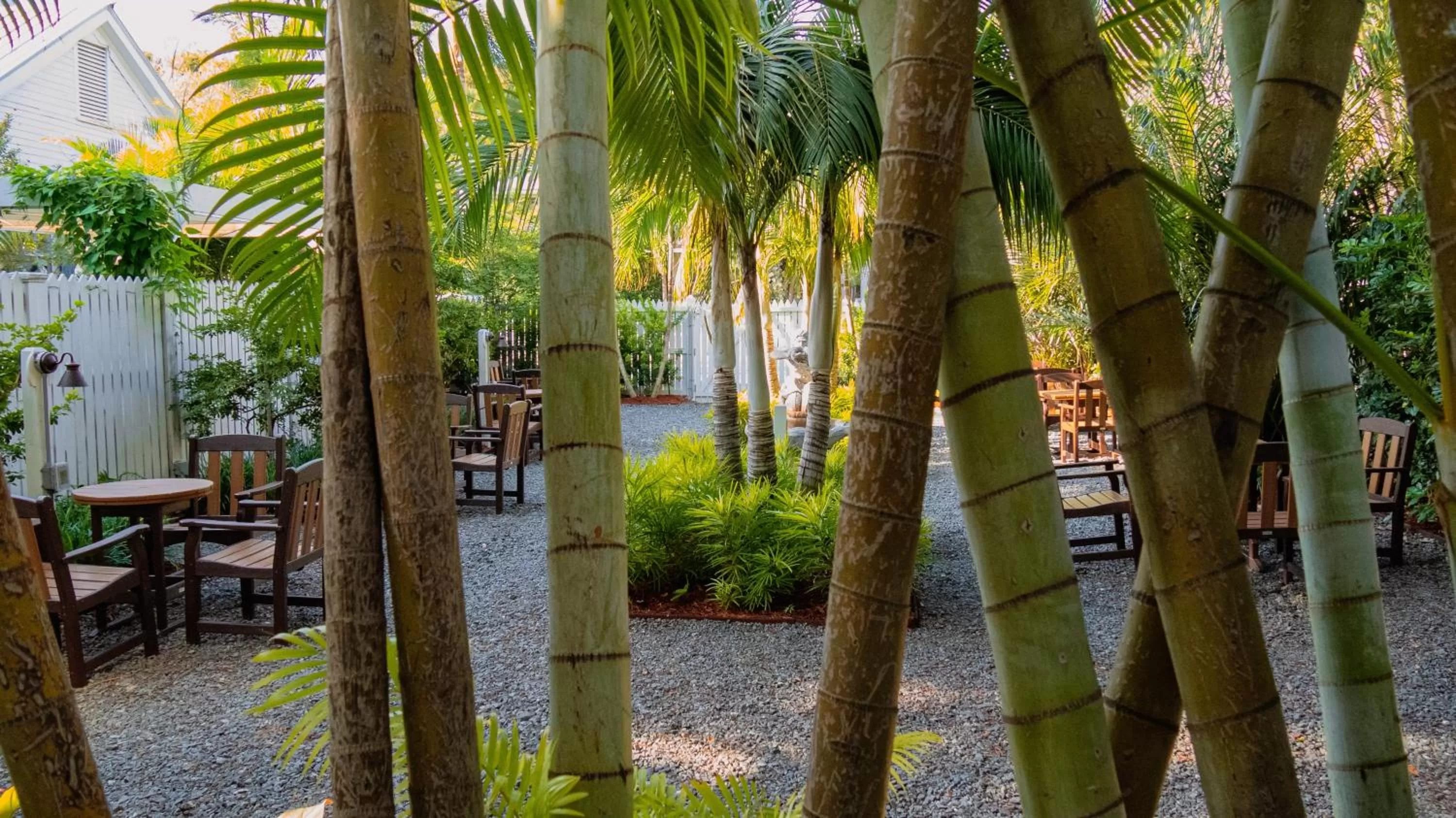 Garden in La Pensione Inn - Adult Exclusive