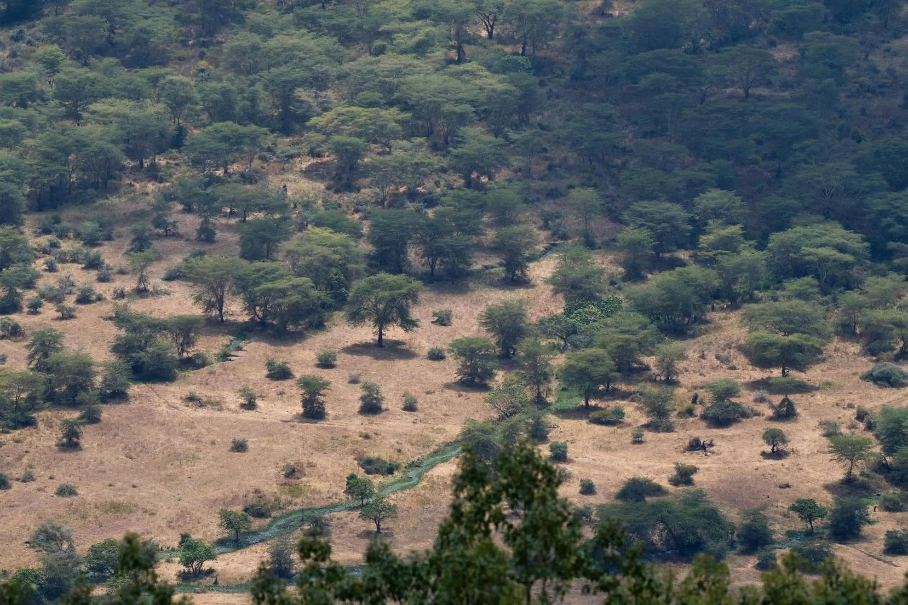 Natural landscape, Bird's-eye View in Ngorongoro Lodge member of Melia Collection