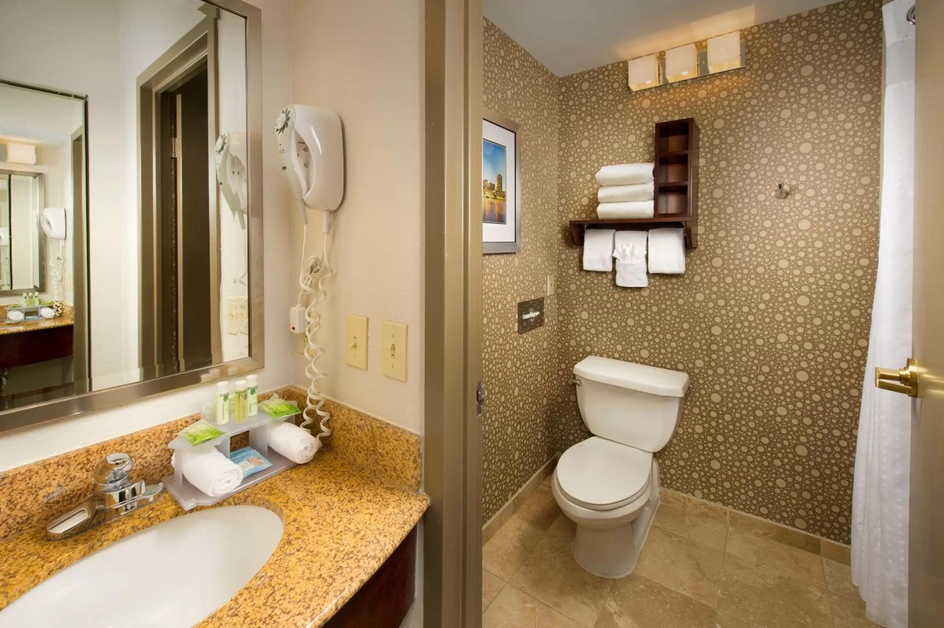 Bathroom in Holiday Inn Express Boston North-Woburn, an IHG Hotel